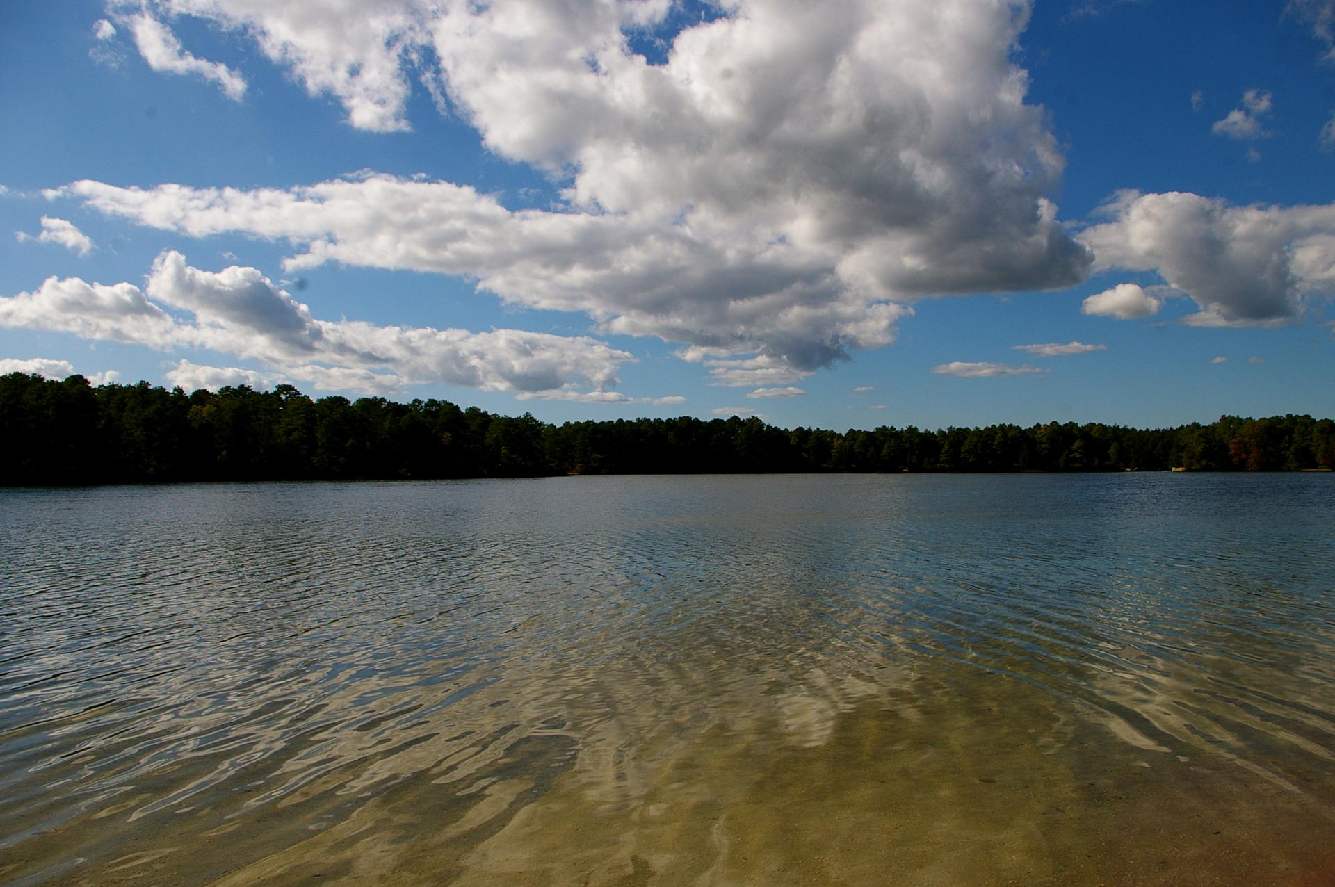 Expansive lake with a distant dark forest under a bright, cloudy sky.