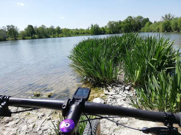 39+ Fischbesatz Raitzhainer Teich, Ob für einen spaziergang, eine.
