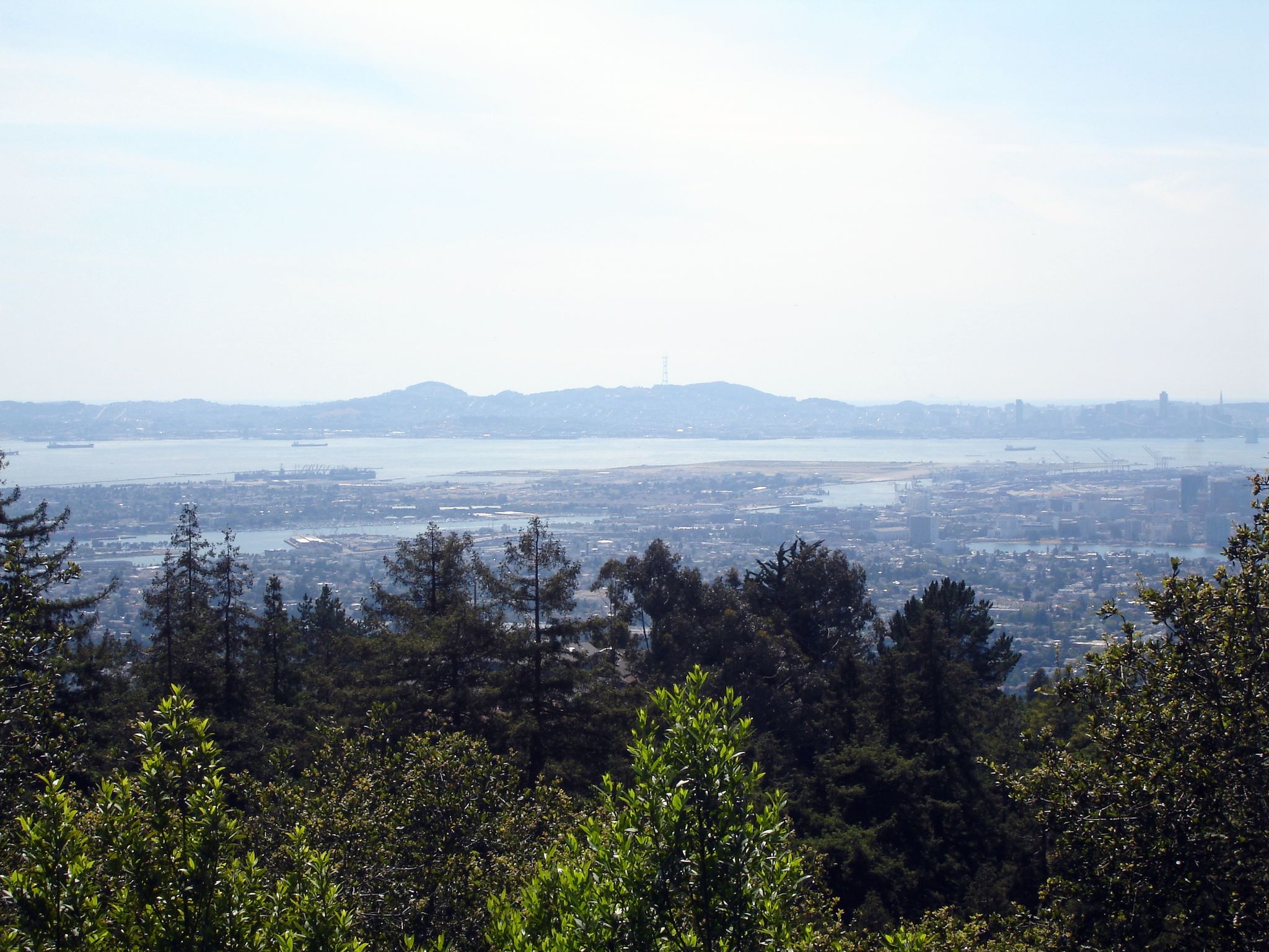 A panoramic view of a city and bay from a forested hilltop. - Sequoia Bayview Trail loop — Joaquin Miller Park