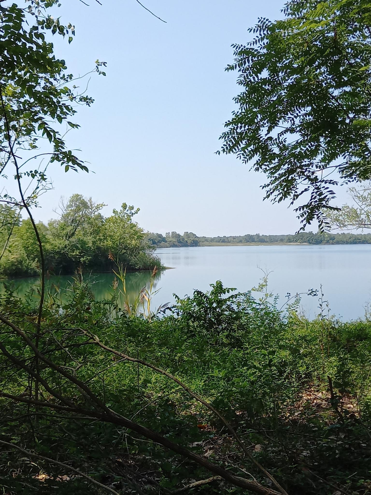 A calm lake is visible through green foliage and trees on a sunny day.