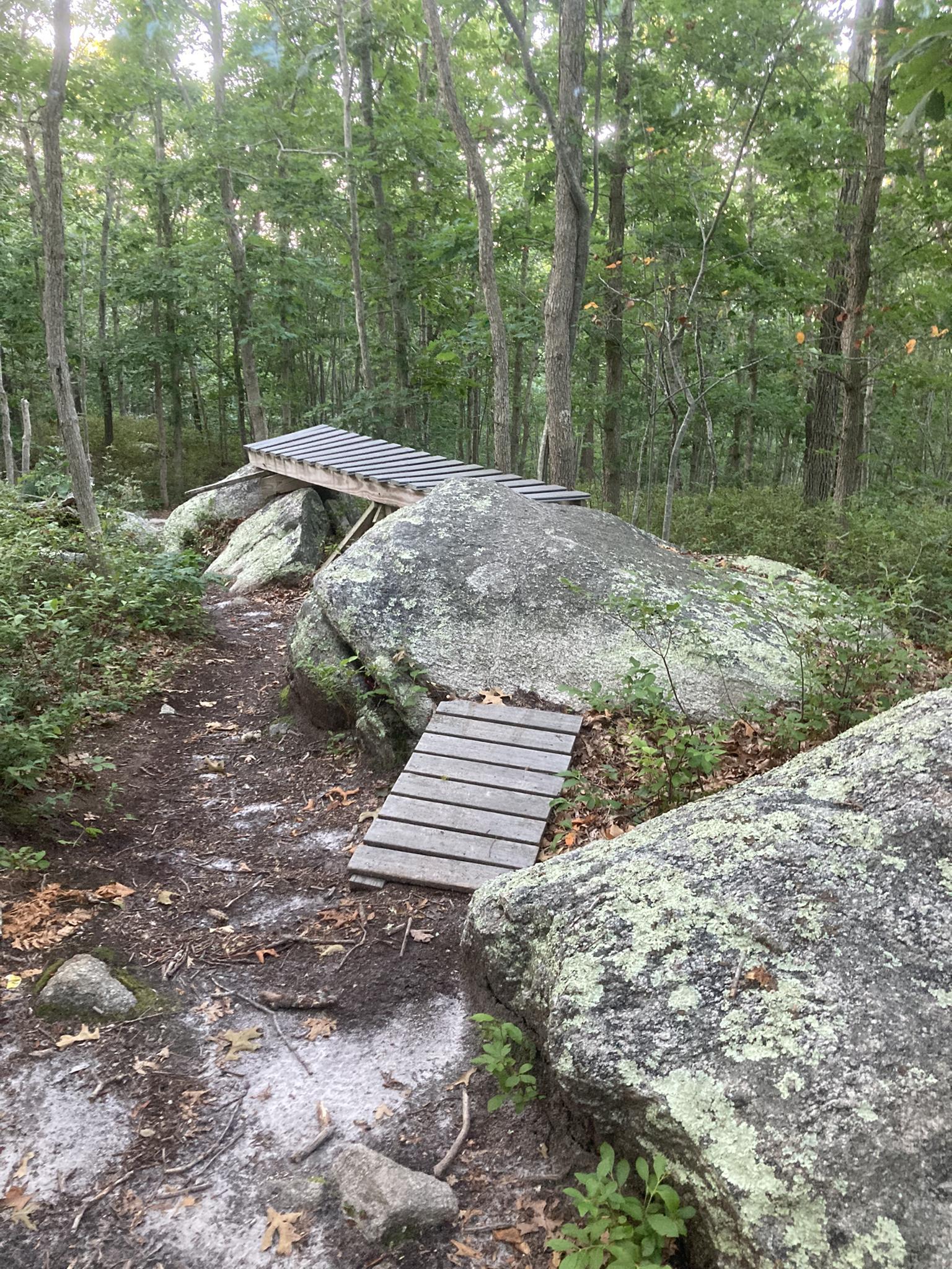 A wooden bike bridge spans between large boulders on a forest path.