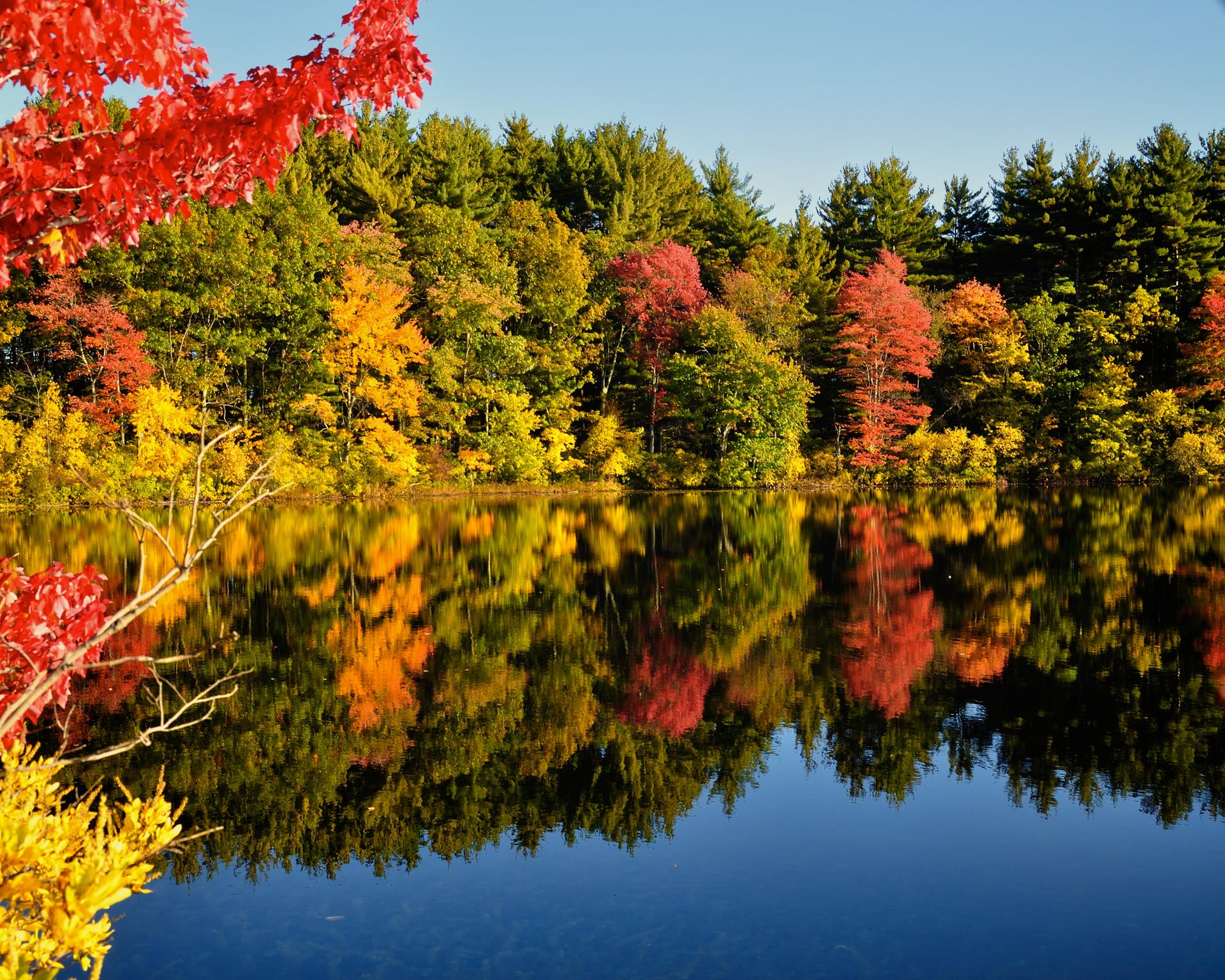 Vibrant autumn trees reflected in calm water under a clear sky.