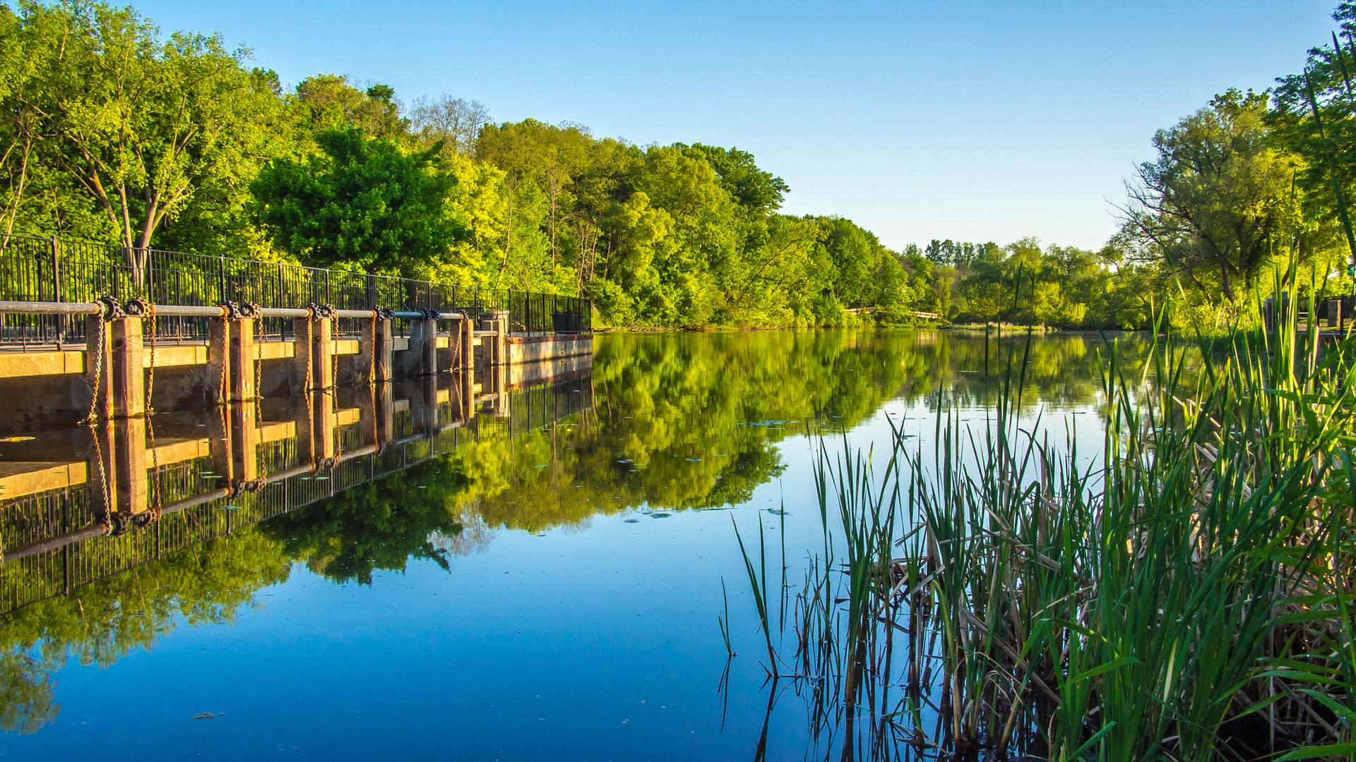 Calm water reflects lush green trees under a bright blue sky.