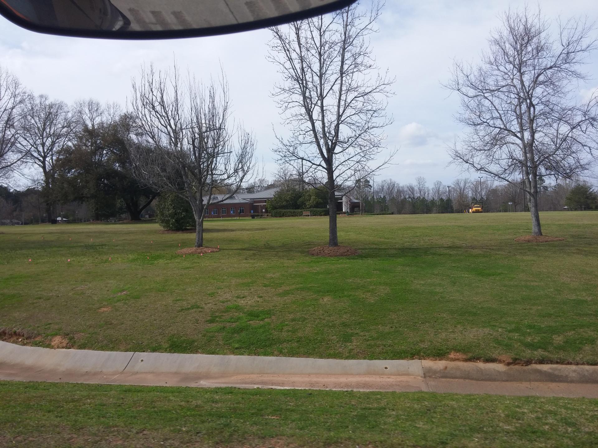 A wide grassy field with bare trees under an overcast sky.