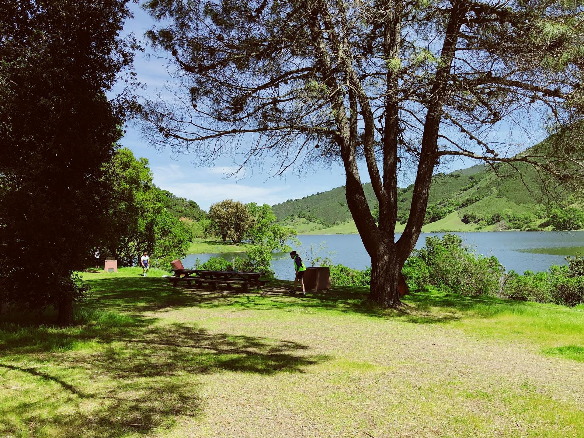 A sunny lakeside scene with green hills, large trees, and two people.