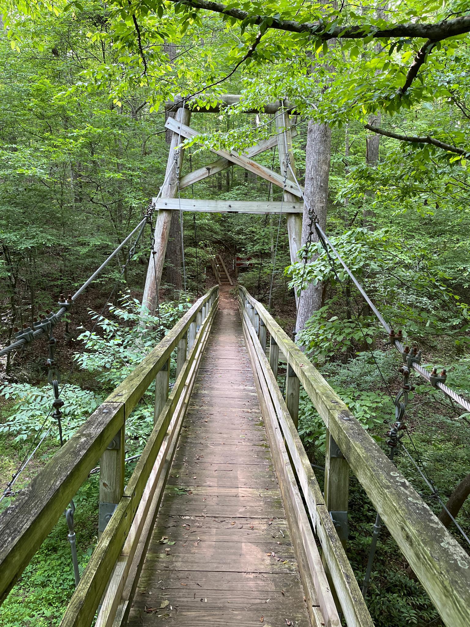 Long wooden suspension bridge extending into a dense green forest.