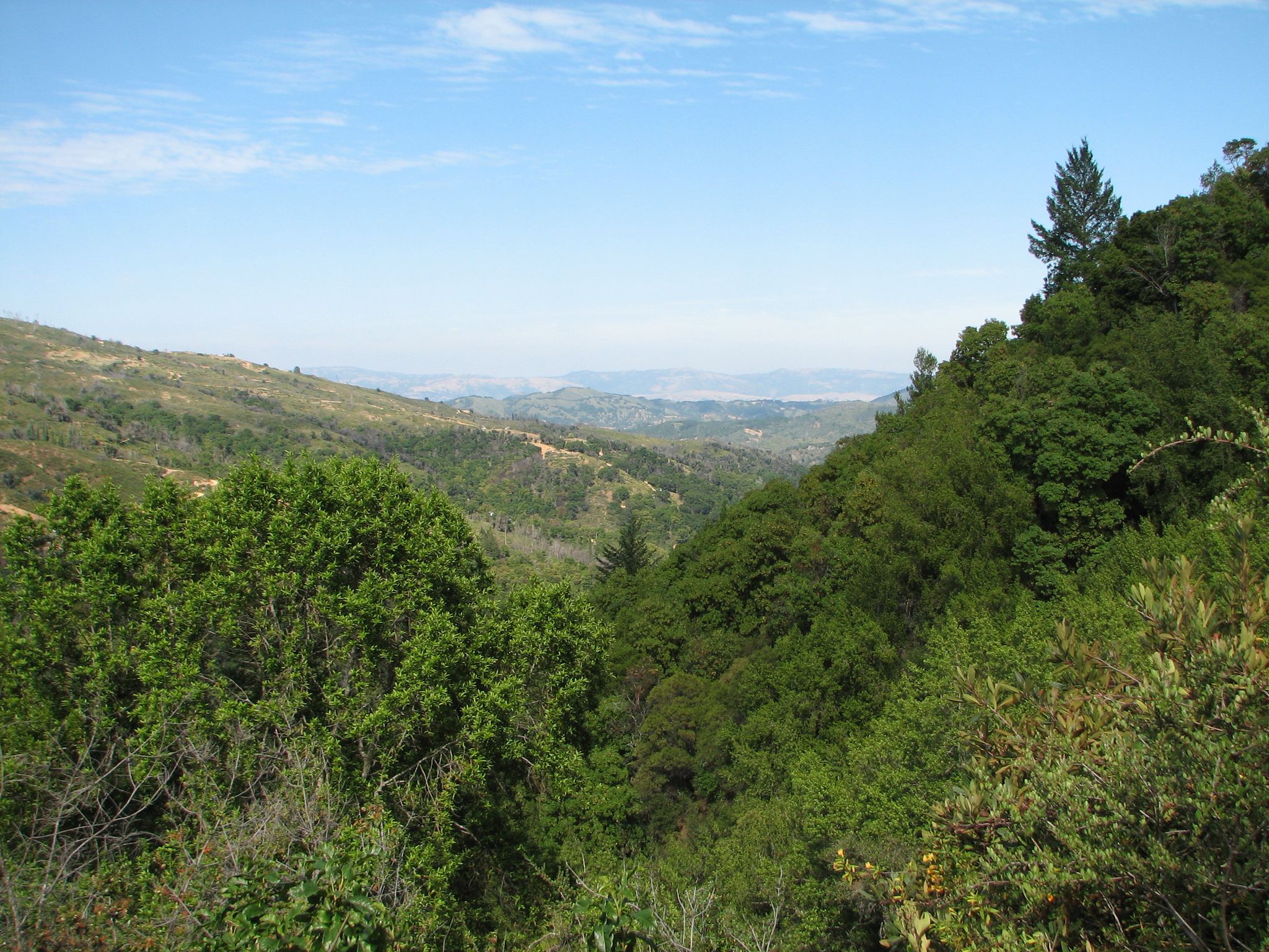 Expansive view of green, tree-covered hills and valleys under a bright blue sky. - Knibbs Knob Trail