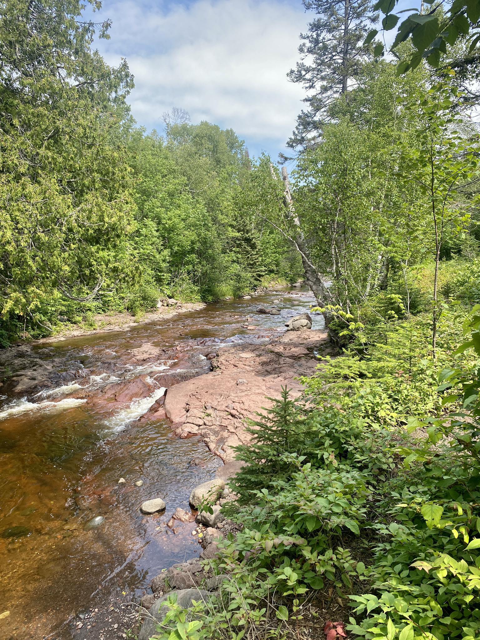 Sunny view of a shallow, reddish river flowing past green trees and bushes.