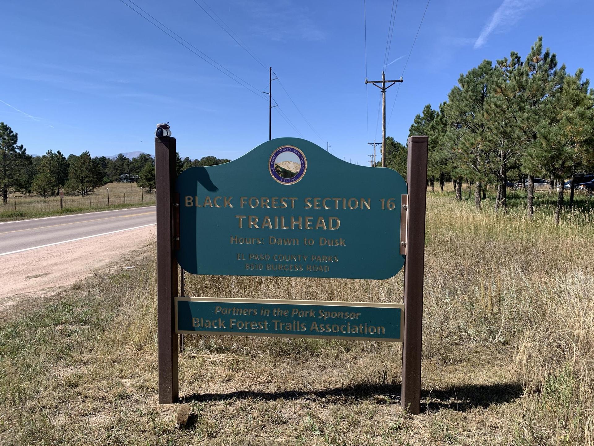 A green trailhead sign in a sunny, grassy field with pine trees.