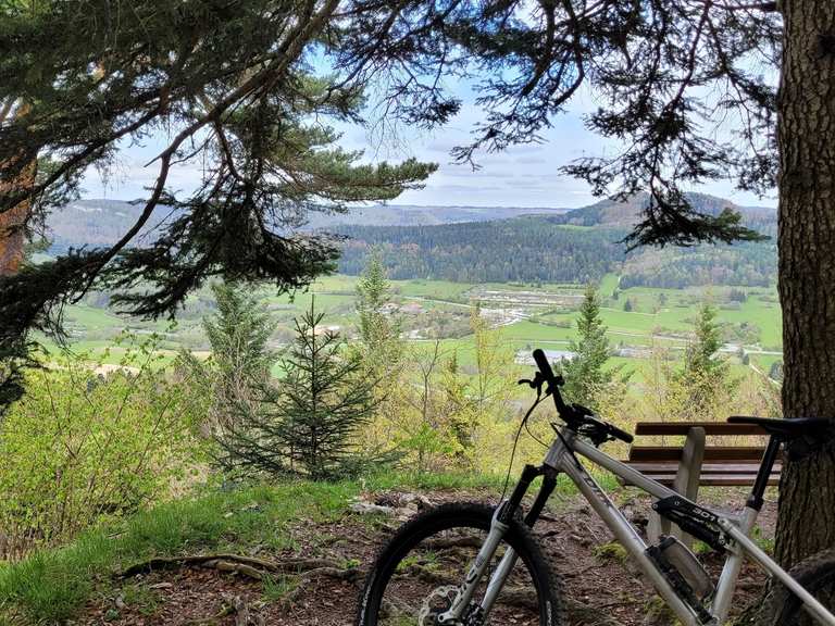 schwalbe mtb reifen 26 Nobby NIC Fahrradreifen – 26“, 27“, 29“ Zoll – Addix Gummimischung – ideal für Mountainbike, Trail und Enduro – Schwalbe MTB Sport & Freizeit Leader Bikes 4