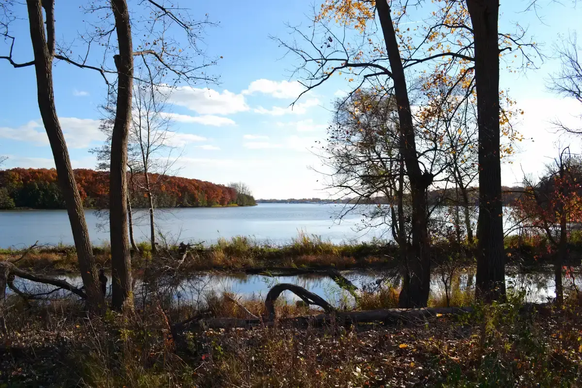 A serene lake framed by autumn trees under a bright, sunny sky.