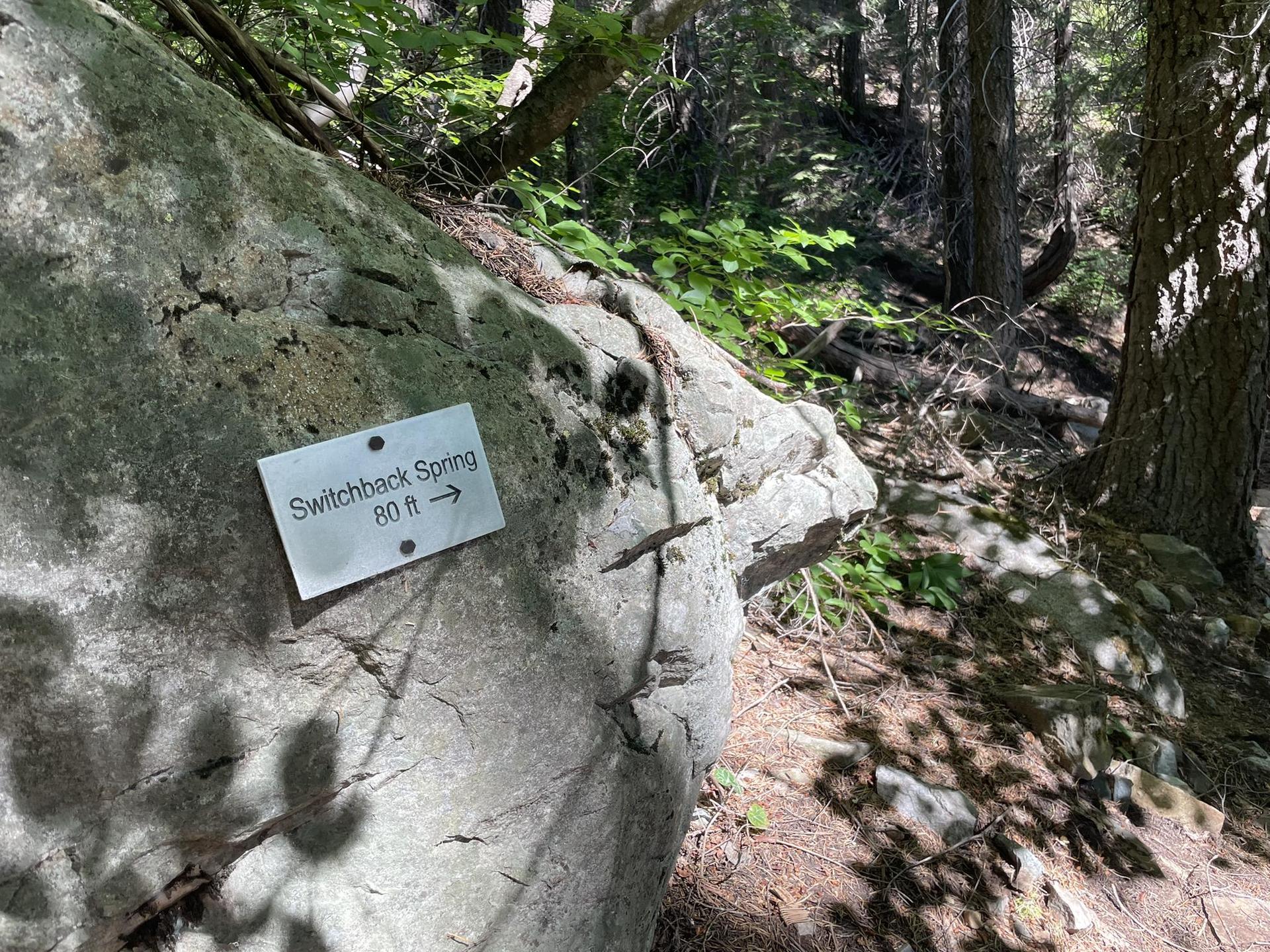 Metal sign on a large rock pointing to "Switchback Spring" in a shaded forest.