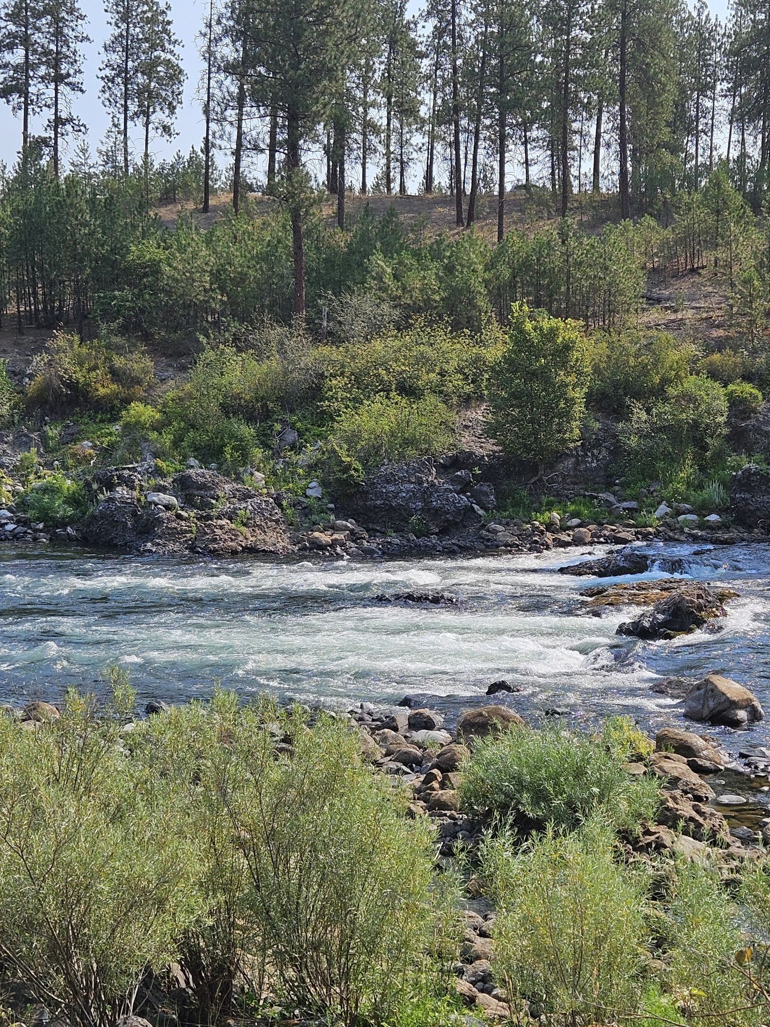 Close-up of a river with white rapids and rocks, surrounded by green foliage. - View of Spokane River Rapids – The Dip loop from Riverside State Park