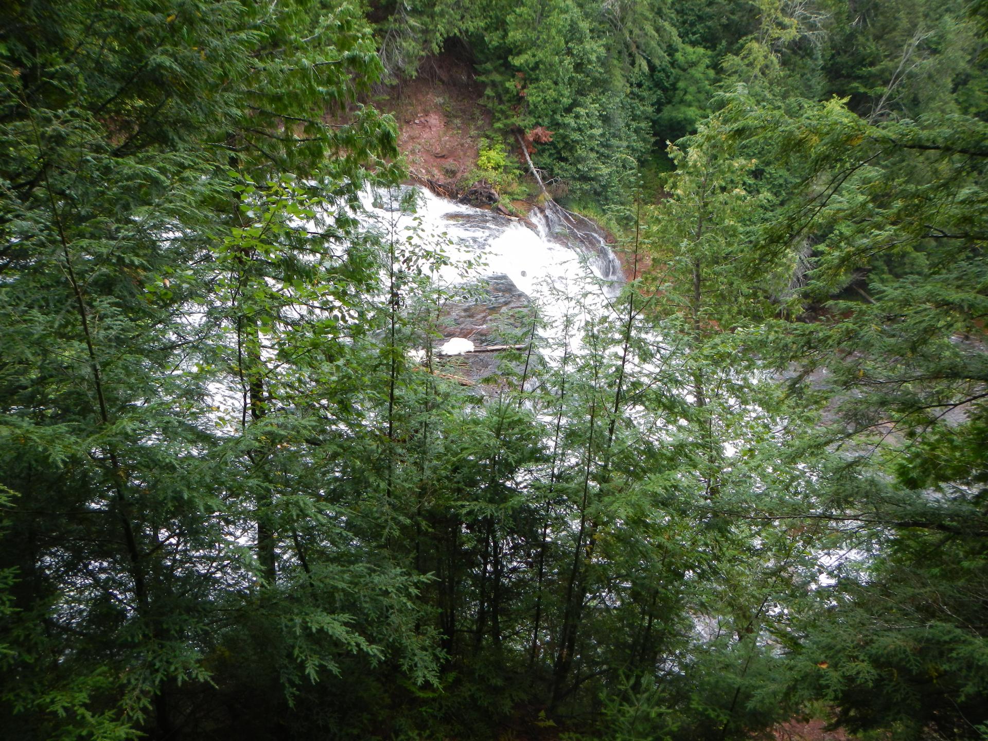 Rushing waterfall partially obscured by dense green forest foliage.