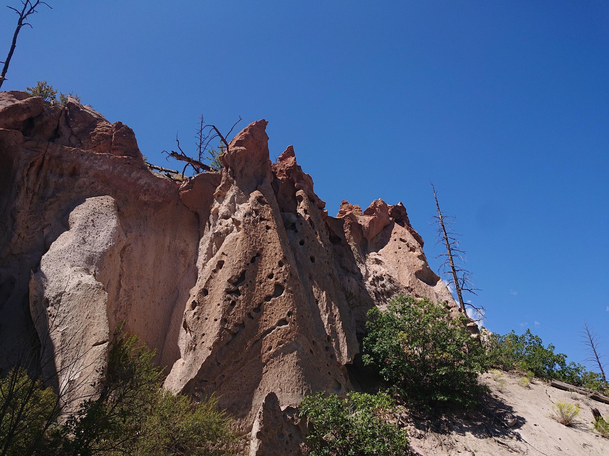 Close-up of textured rock formations with small caves and sparse bushes under clear sky.