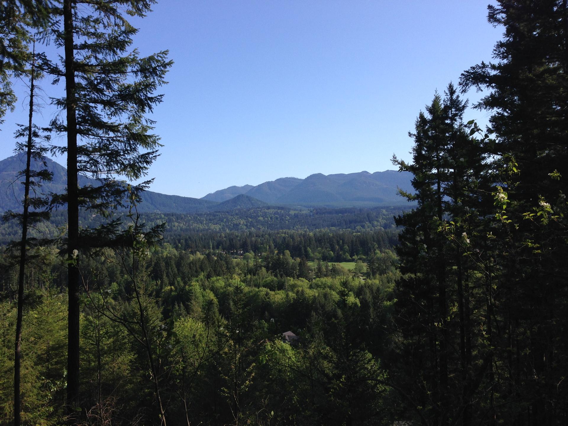 A vast green forest valley under a clear blue sky, framed by tall trees.