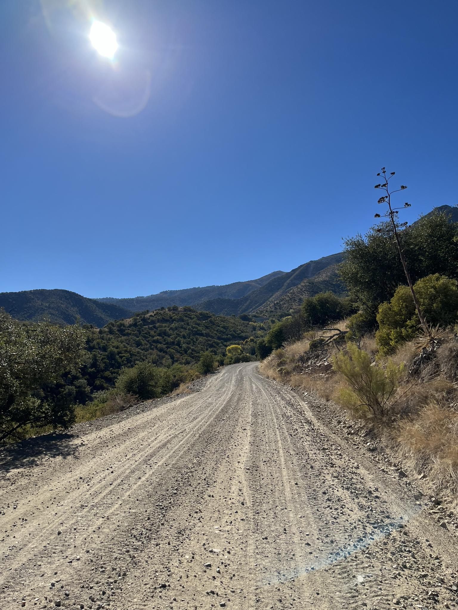 Sun-drenched gravel road leading into a green, mountainous landscape under a bright sky.