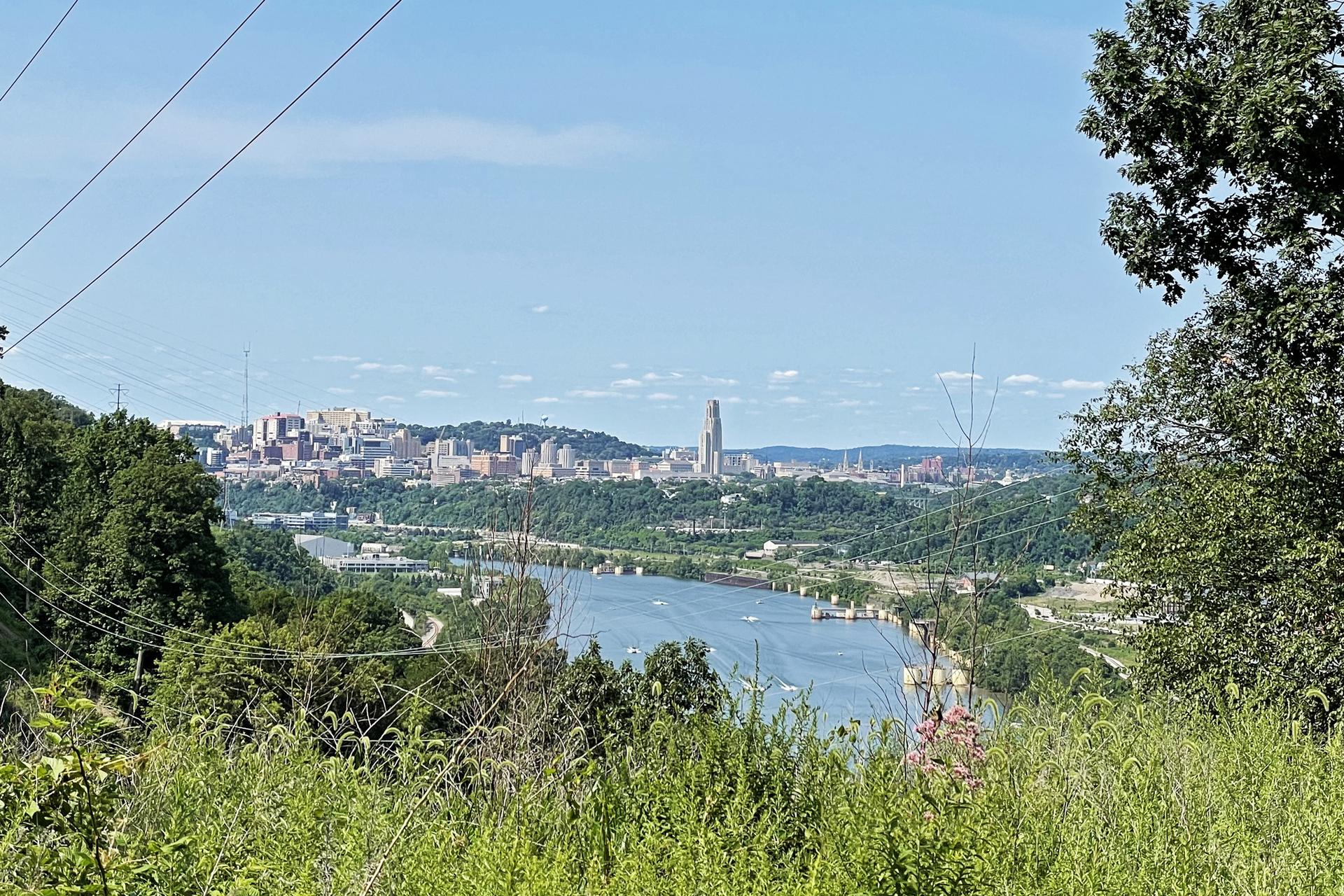 Sunny panoramic view of a city skyline across a wide river.