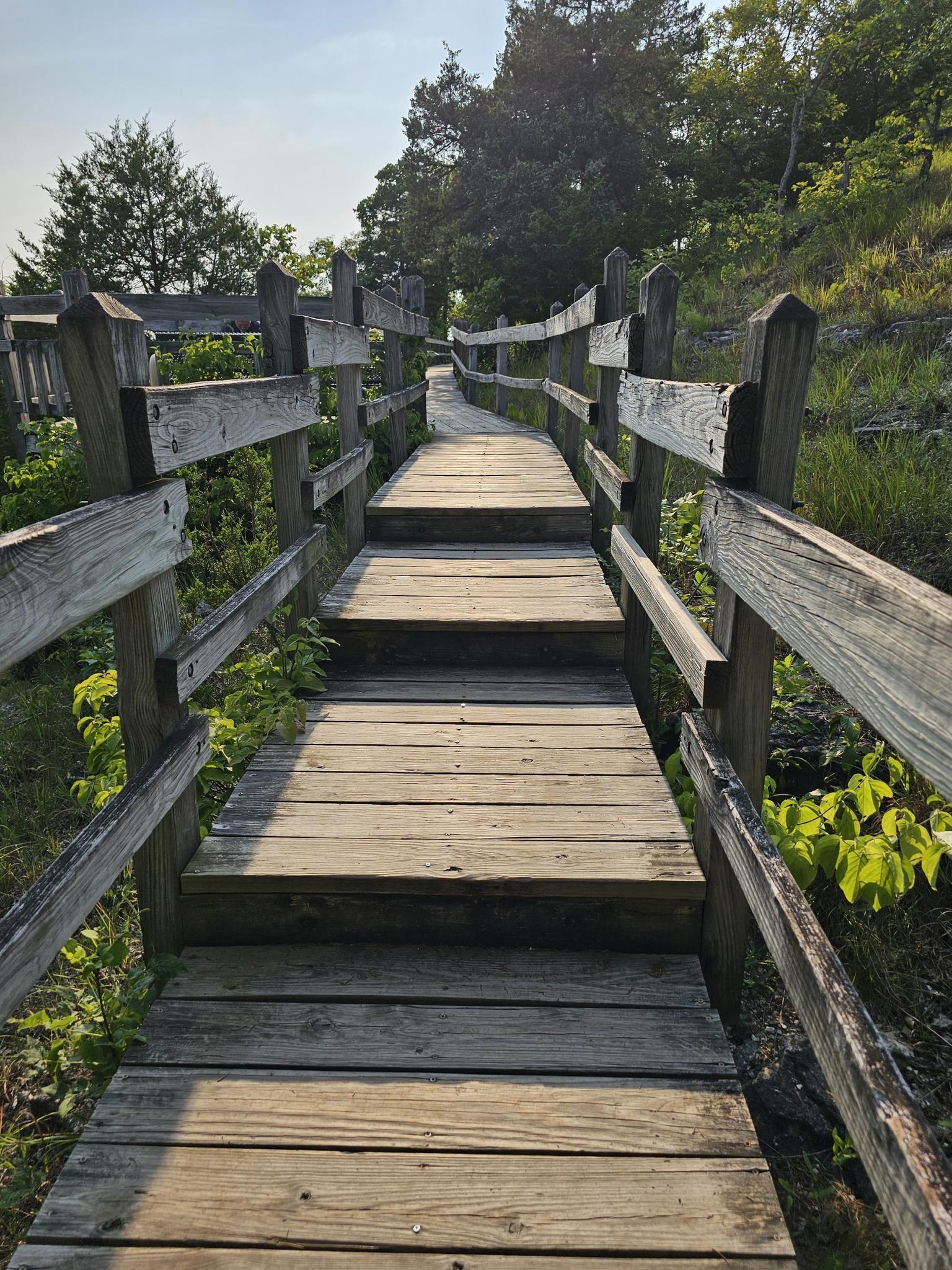 A winding wooden boardwalk path through green trees under sunny skies.