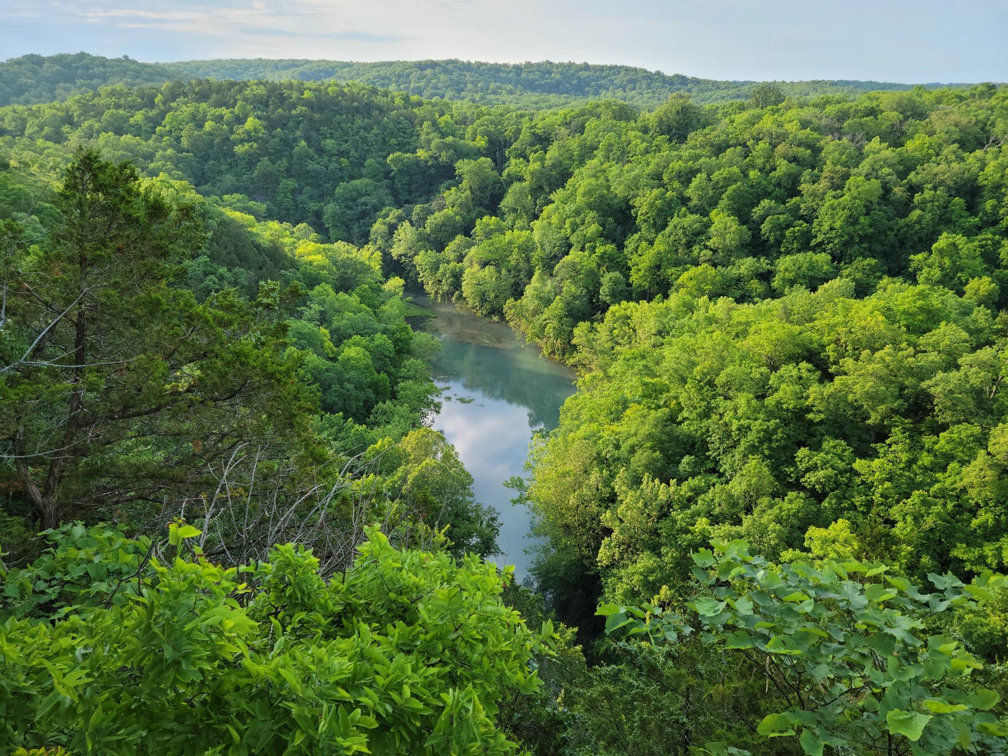 A serene river flows through lush green forest under a bright sky.