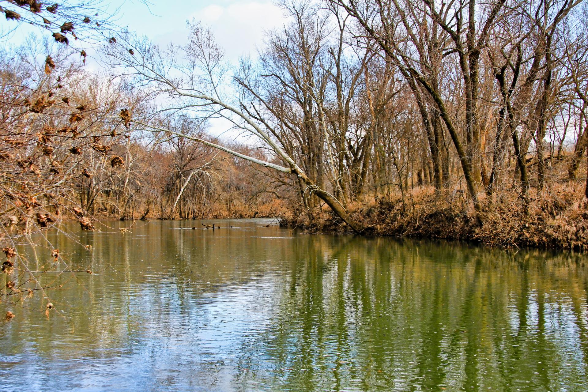 Calm river reflecting bare trees and brown foliage under a bright sky.