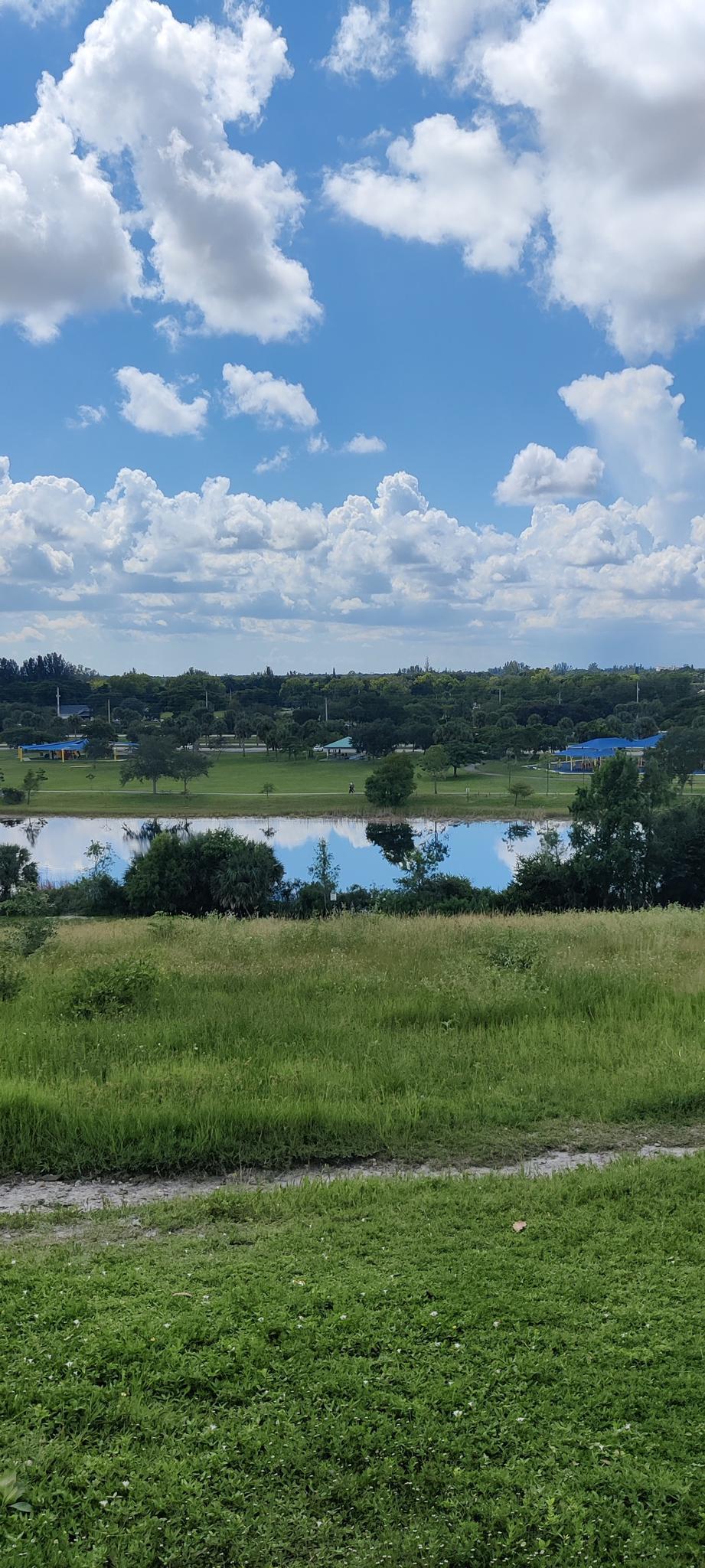 Grassy field overlooking a lake and distant buildings under a bright, cloudy sky.