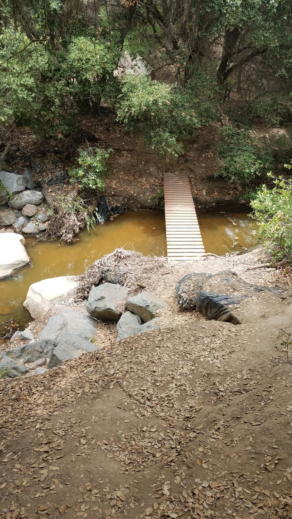 Wooden footbridge crosses a muddy stream in a shaded, rocky forest.