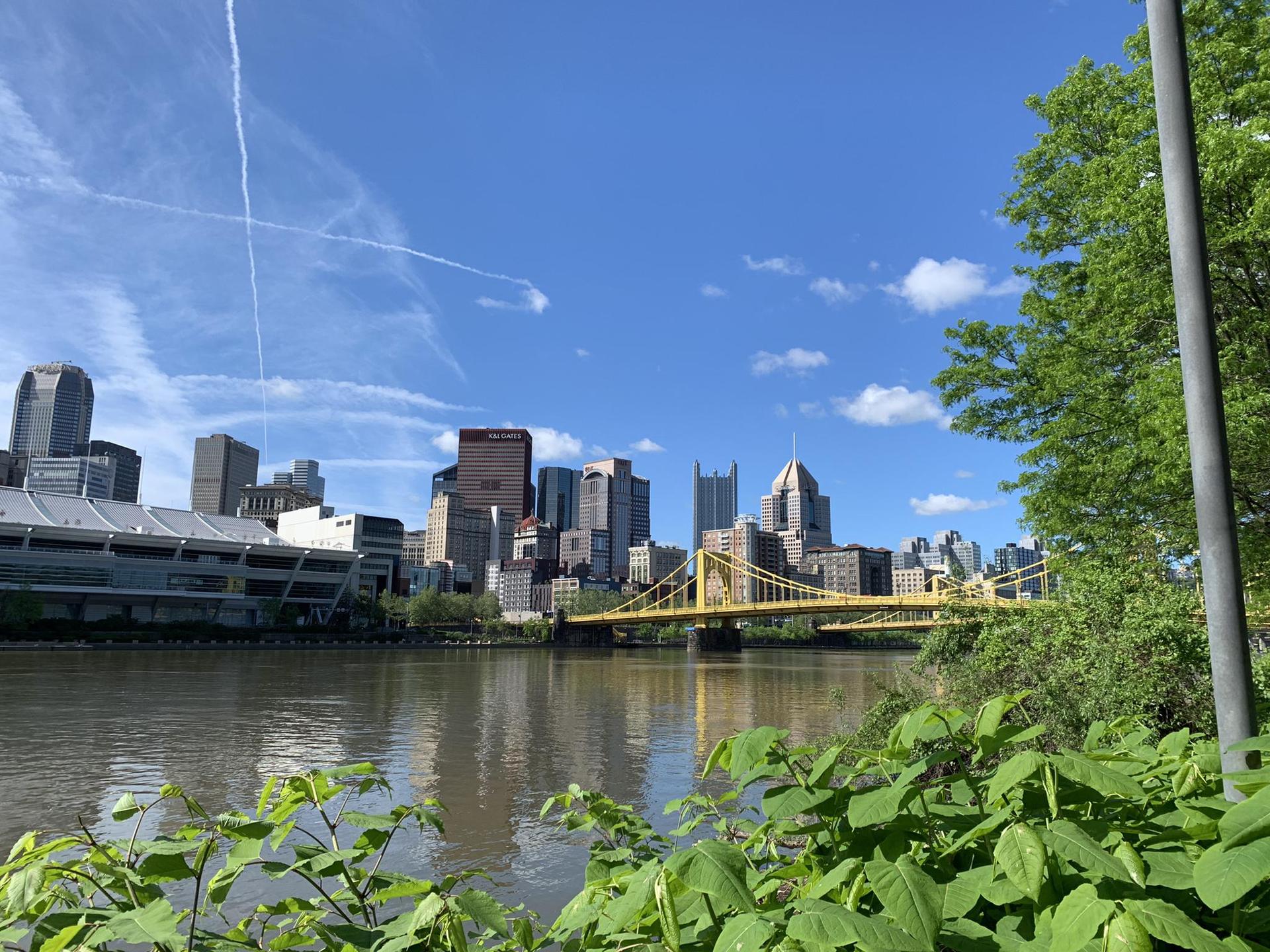 City skyline and yellow bridge across a river, framed by green foliage.