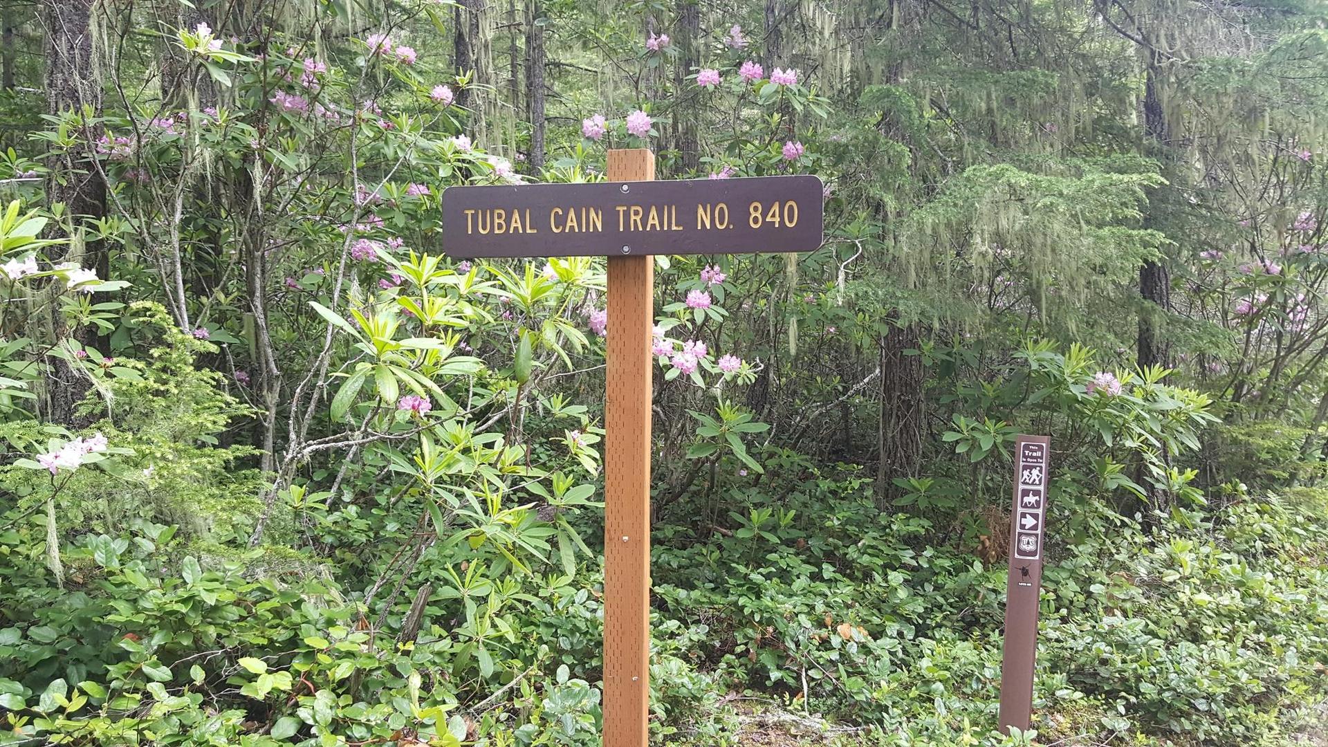 Wooden trail sign surrounded by lush green foliage and pink flowering bushes.
