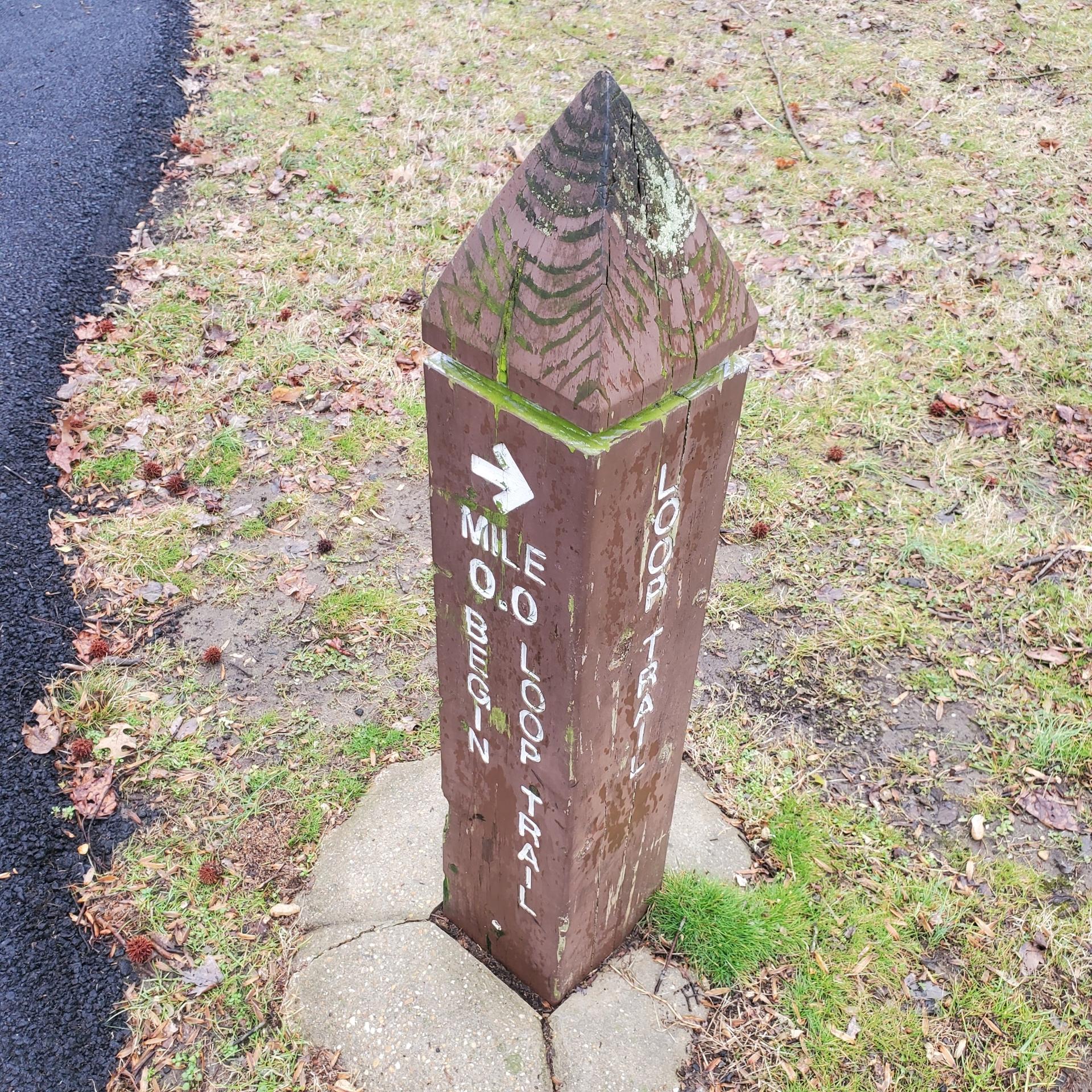 Brown wooden trail marker post with white text next to an asphalt path.