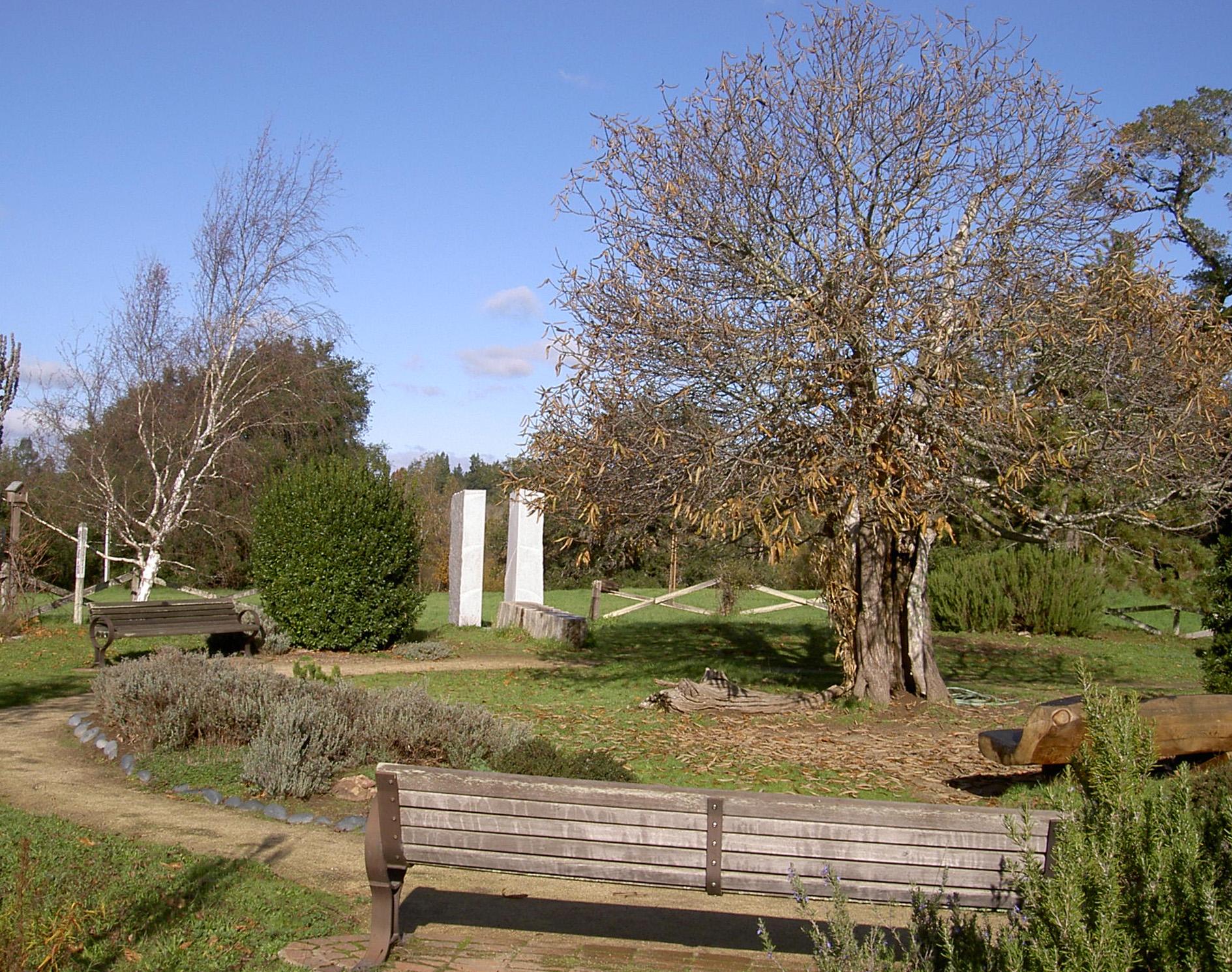 A sunny park scene with wooden benches, trees, and white pillars.