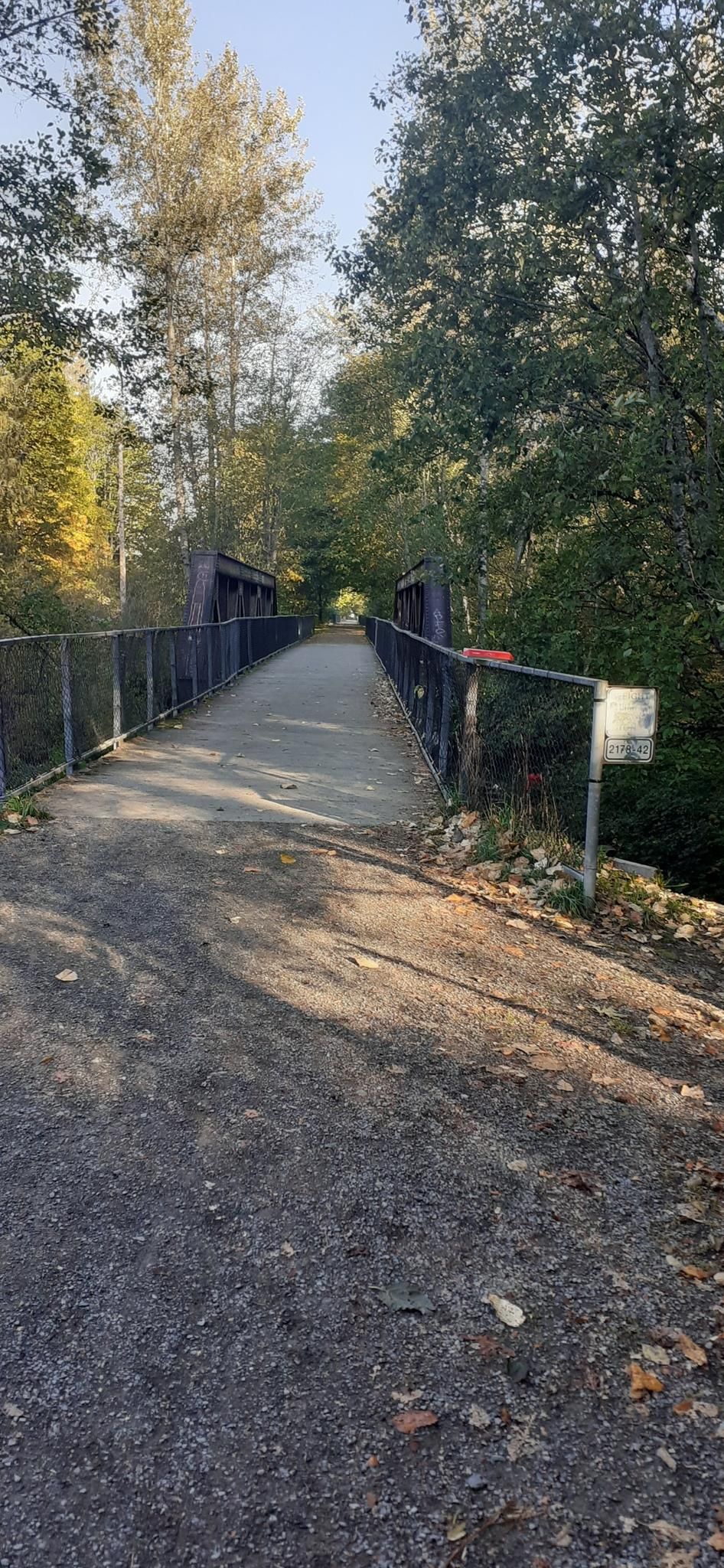 Path leading to a metal bridge through sunlit autumn trees. - Snoqualmie Valley and Tollgate Farm Loop