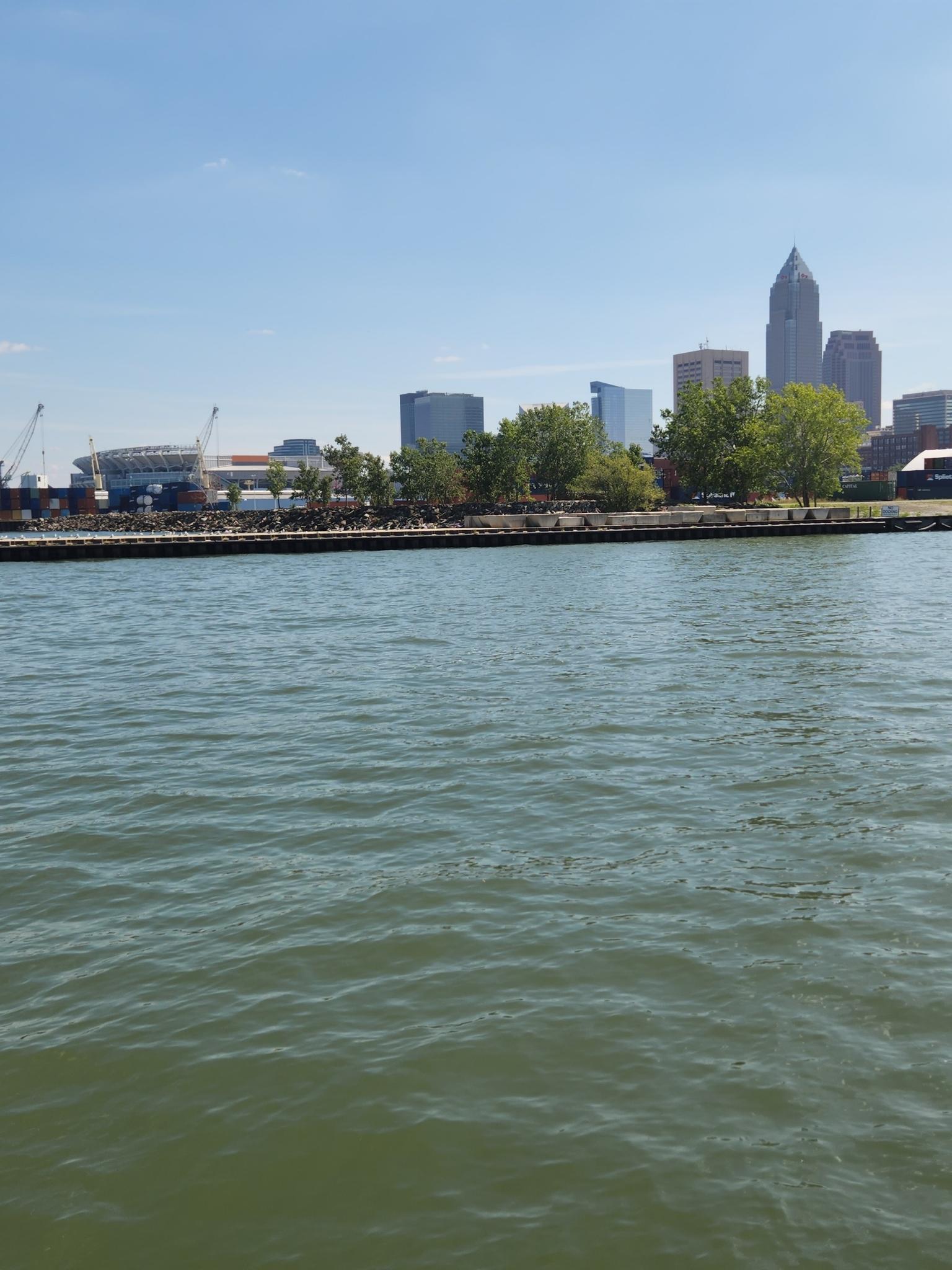 City skyline with tall buildings and trees across calm water on a clear day.