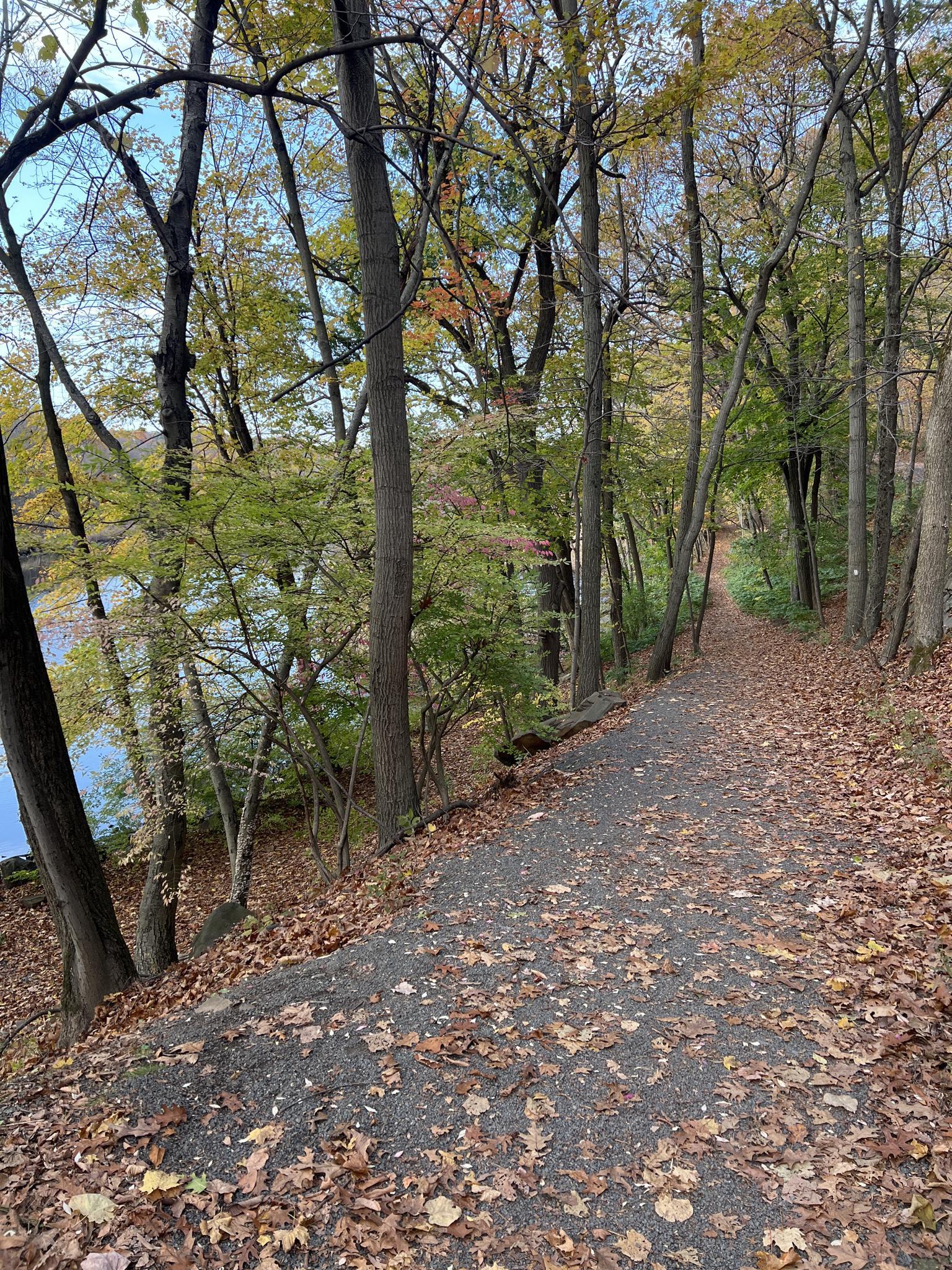 A gravel path beside a body of water, lined with autumn trees.