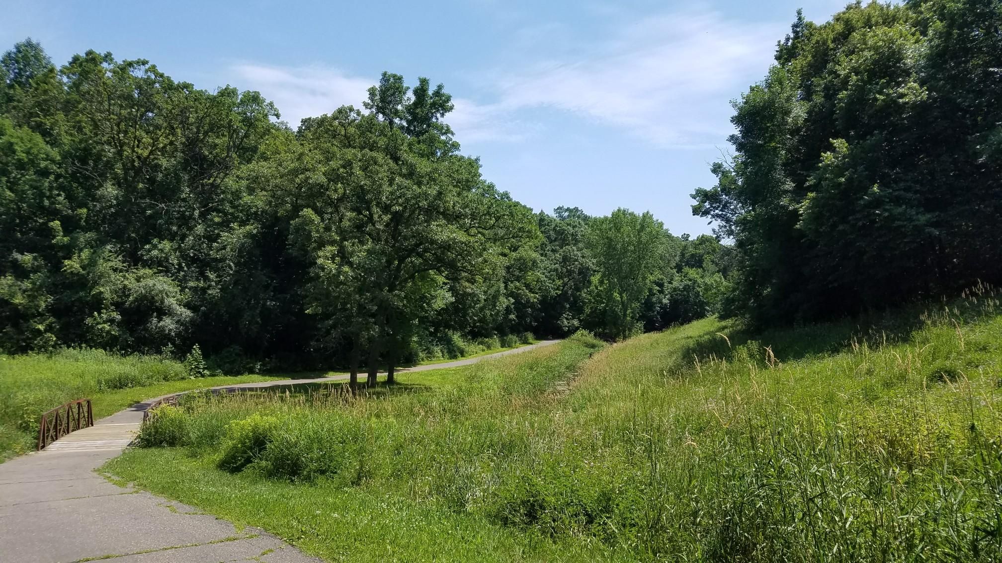 Paved path winding through a sunny, green, wooded valley. - Battle Creek Regional Trail