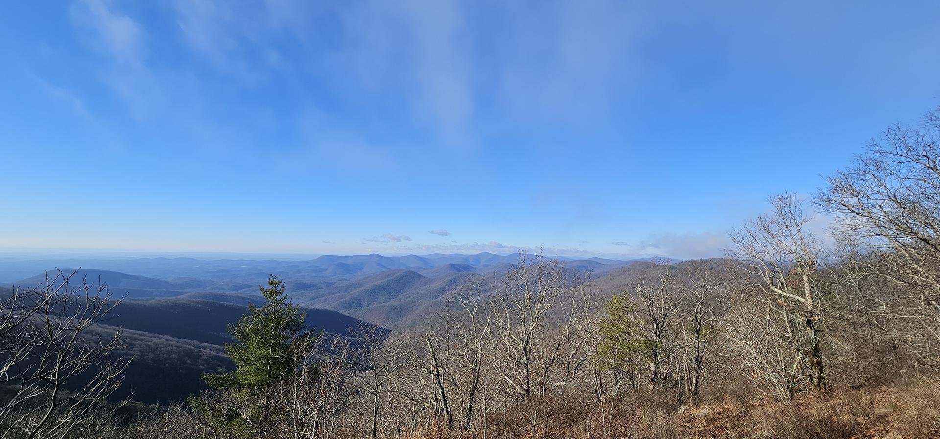 Wide view of hazy distant mountains and bare trees on a clear day.