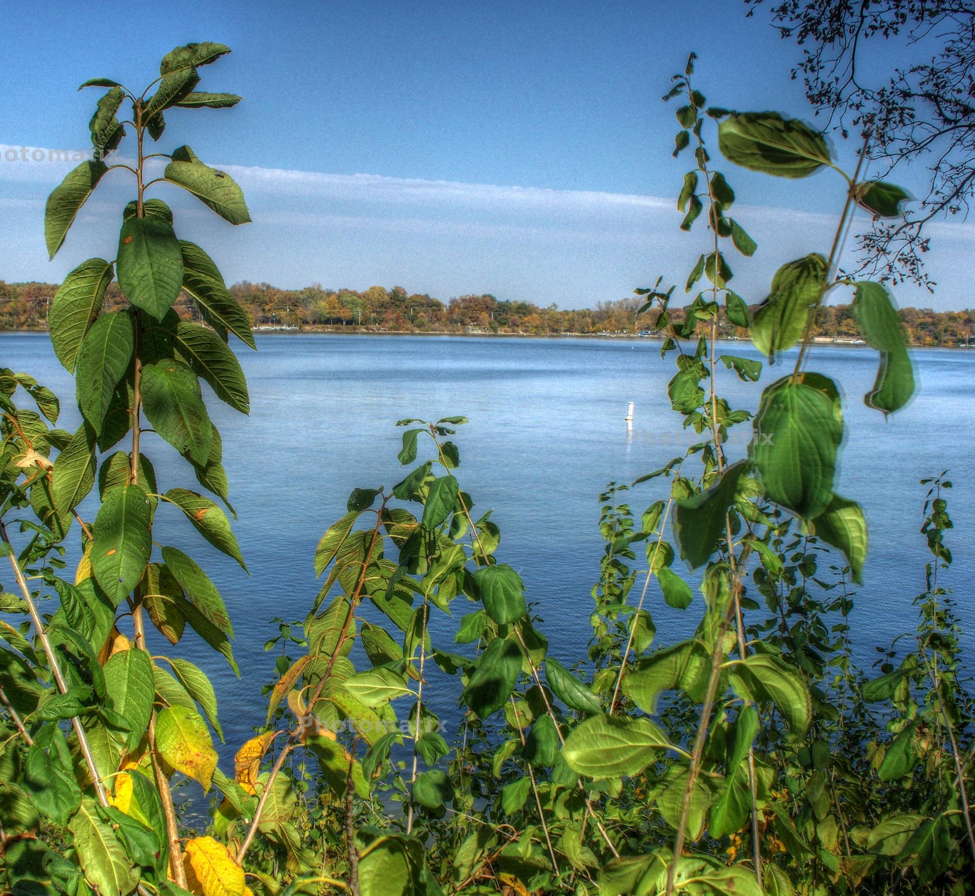 Lush green plants frame a calm lake under a bright blue sky.