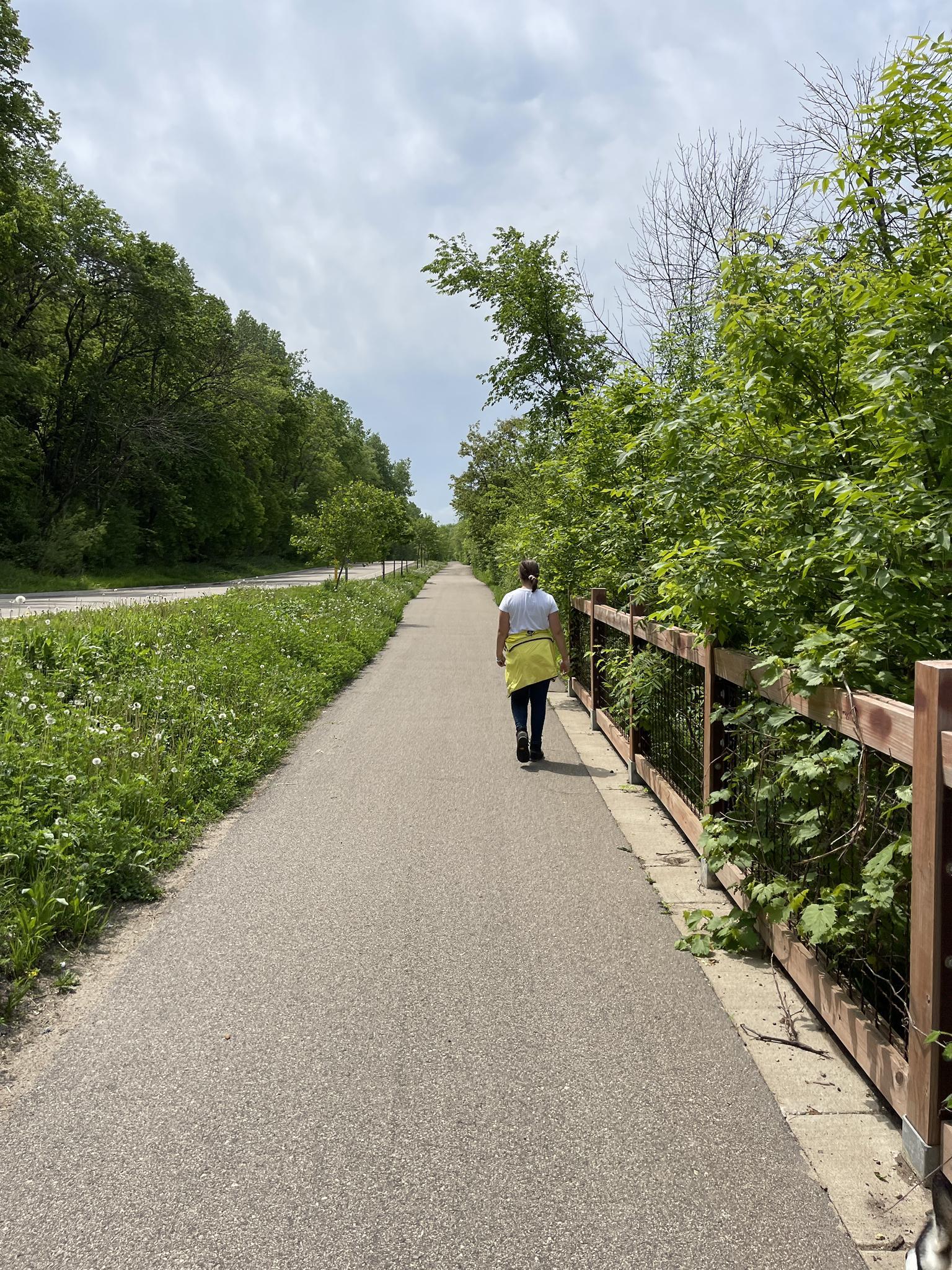 Person walking on a paved path lined with green trees and a fence.