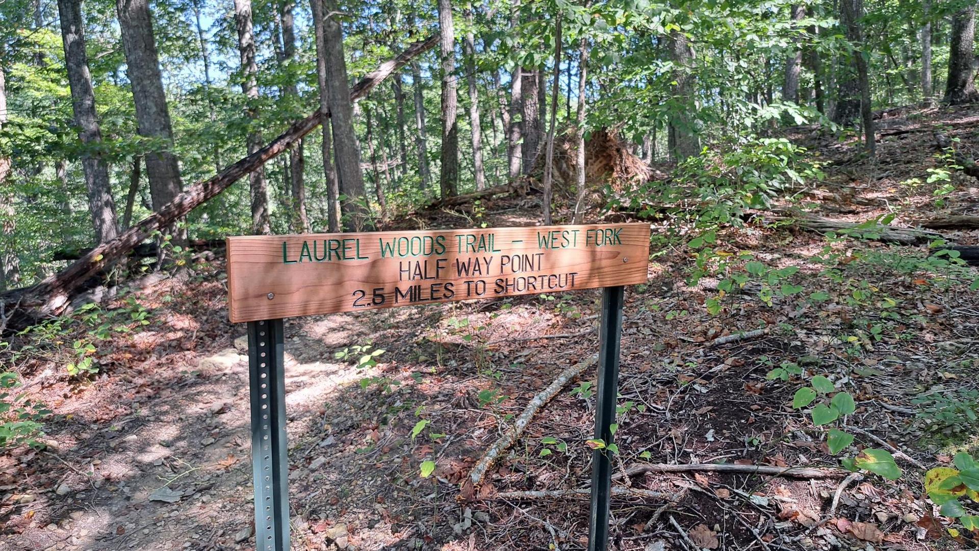 A wooden trail sign in a dense, sunlit forest.