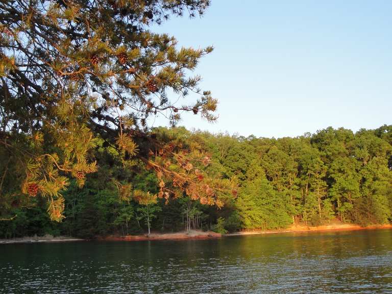 Hawk Loop & Hicks Creek Loop Trails — Lake Norman State Park ...