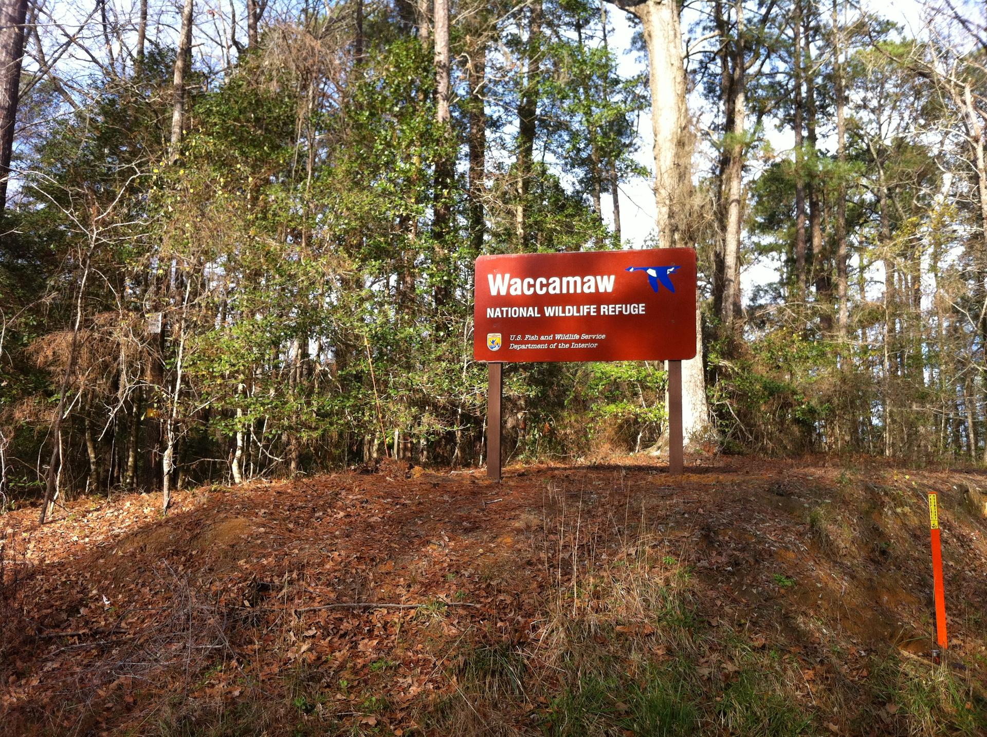 A red sign stands on a brown mound before a dense forest.