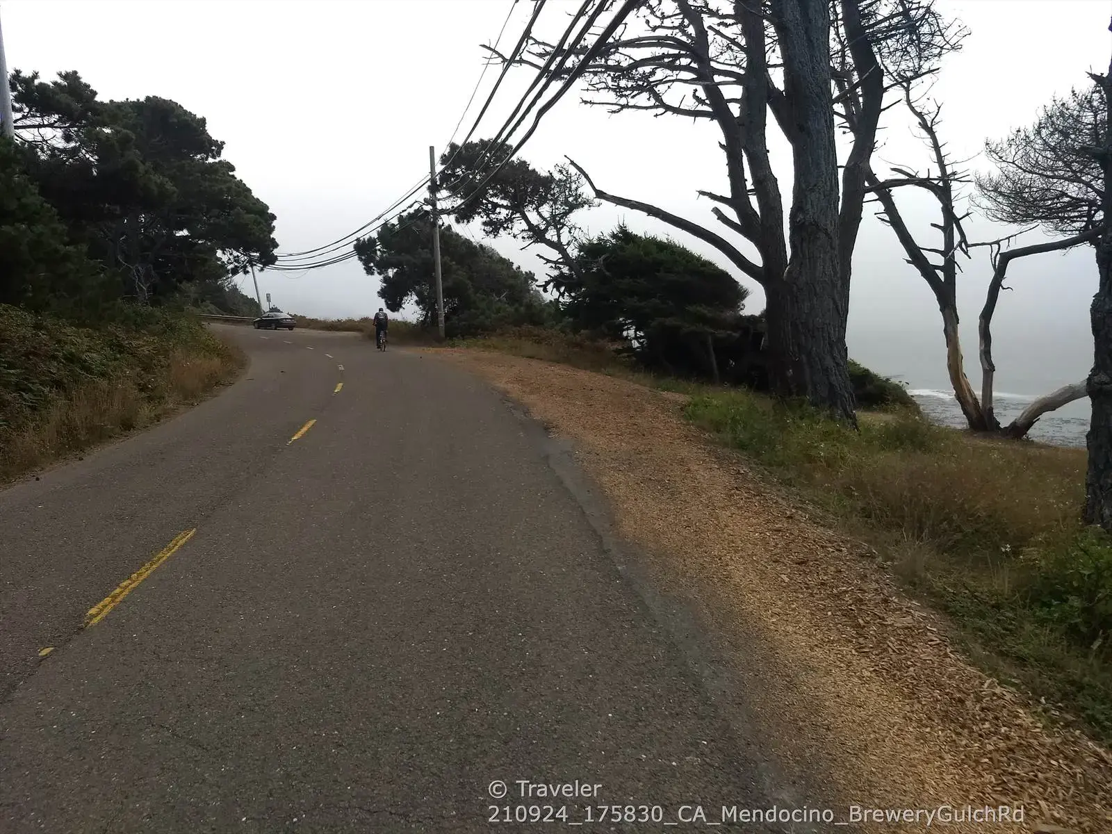 Paved road winding along a tree-lined coast under an overcast sky, with a cyclist.