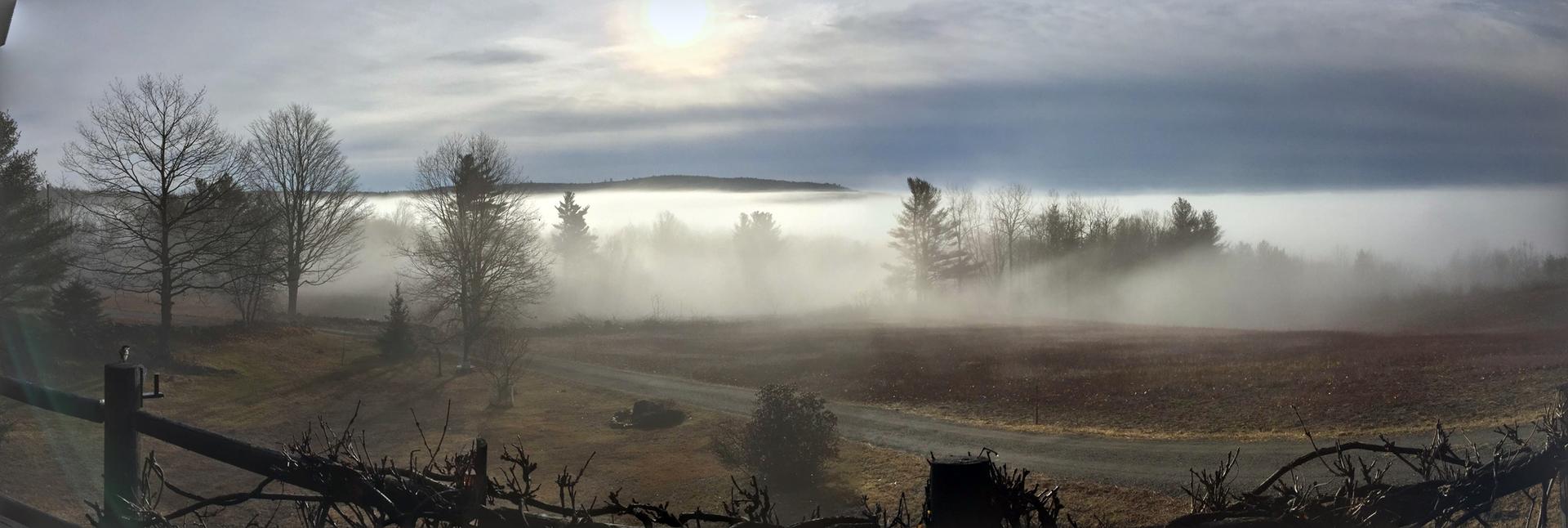 Panoramic view of a foggy landscape with bare trees and a hazy sky.
