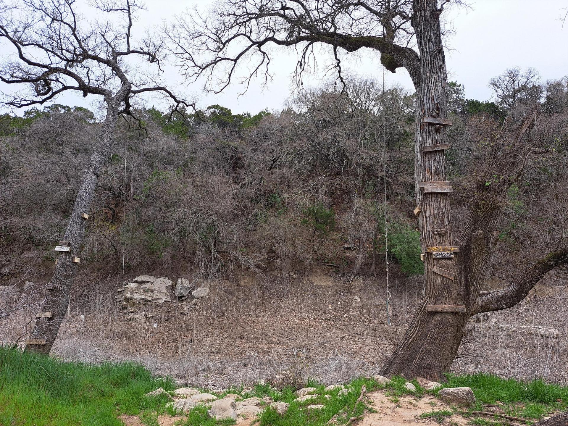 Bare trees with rope swings and wooden steps on dry, rocky ground under an overcast sky.