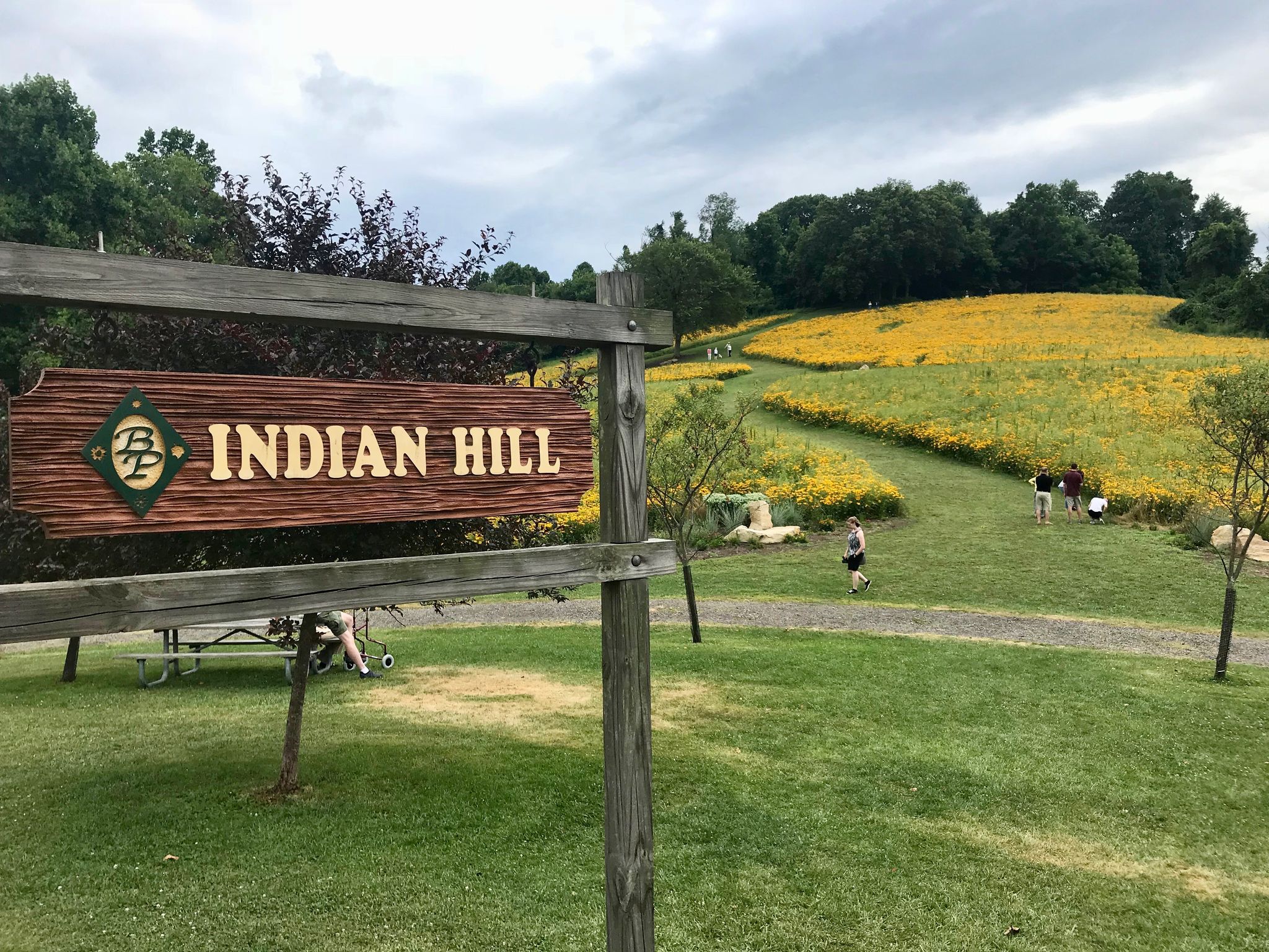 Wooden sign, people walking through a field of yellow flowers under a cloudy sky. - Blue & Green Trail loop