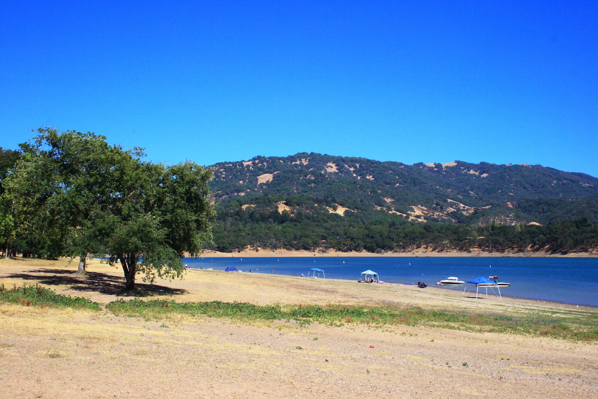 Sunny lake shore with sandy beach, green trees, and distant hills.
