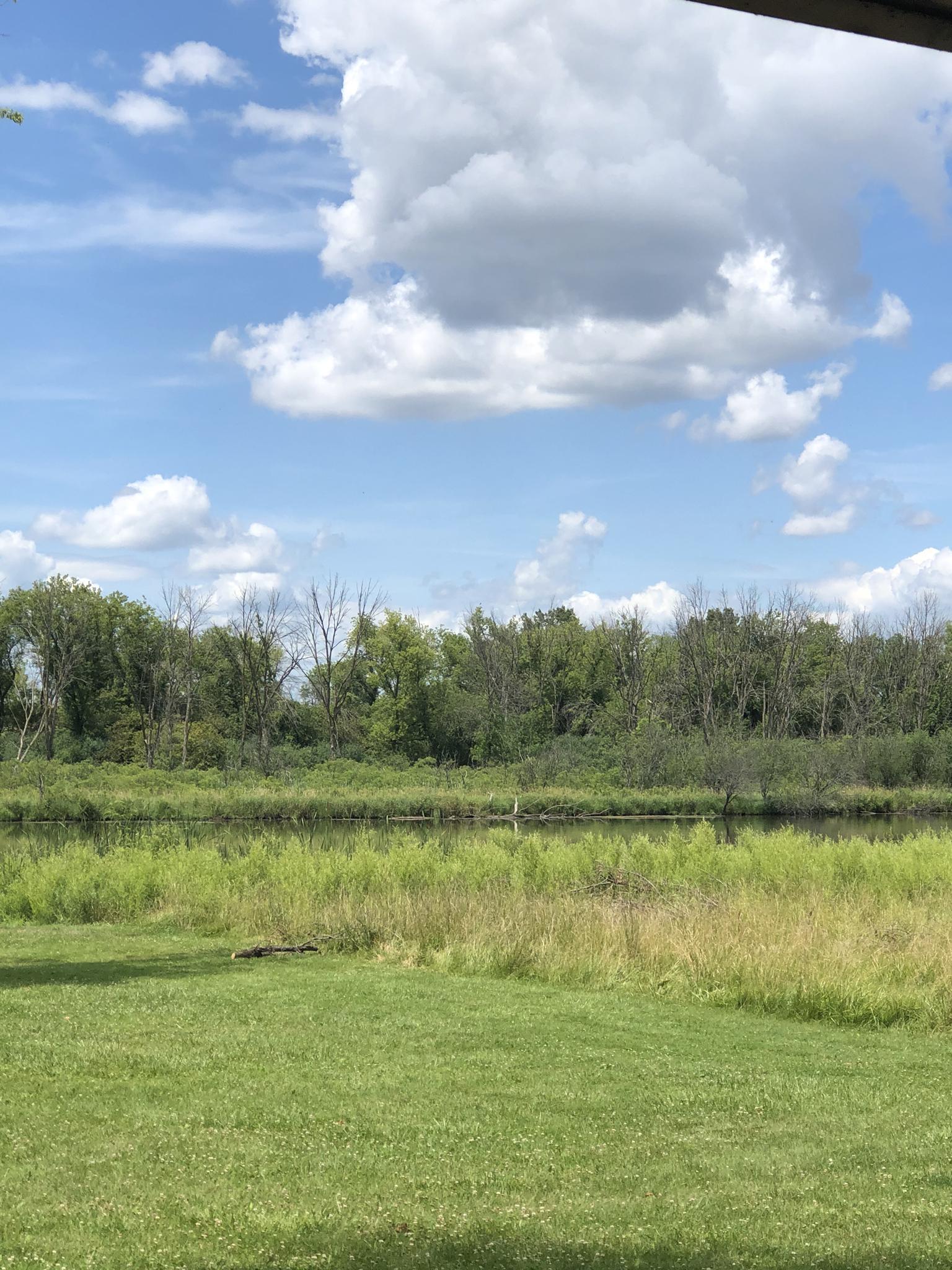 Grassy field and river bordered by dense trees under a cloudy blue sky.