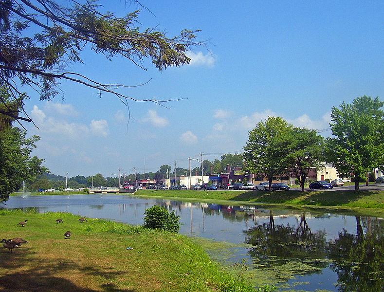 A sunny lake with geese on the grassy bank, a town in the background.