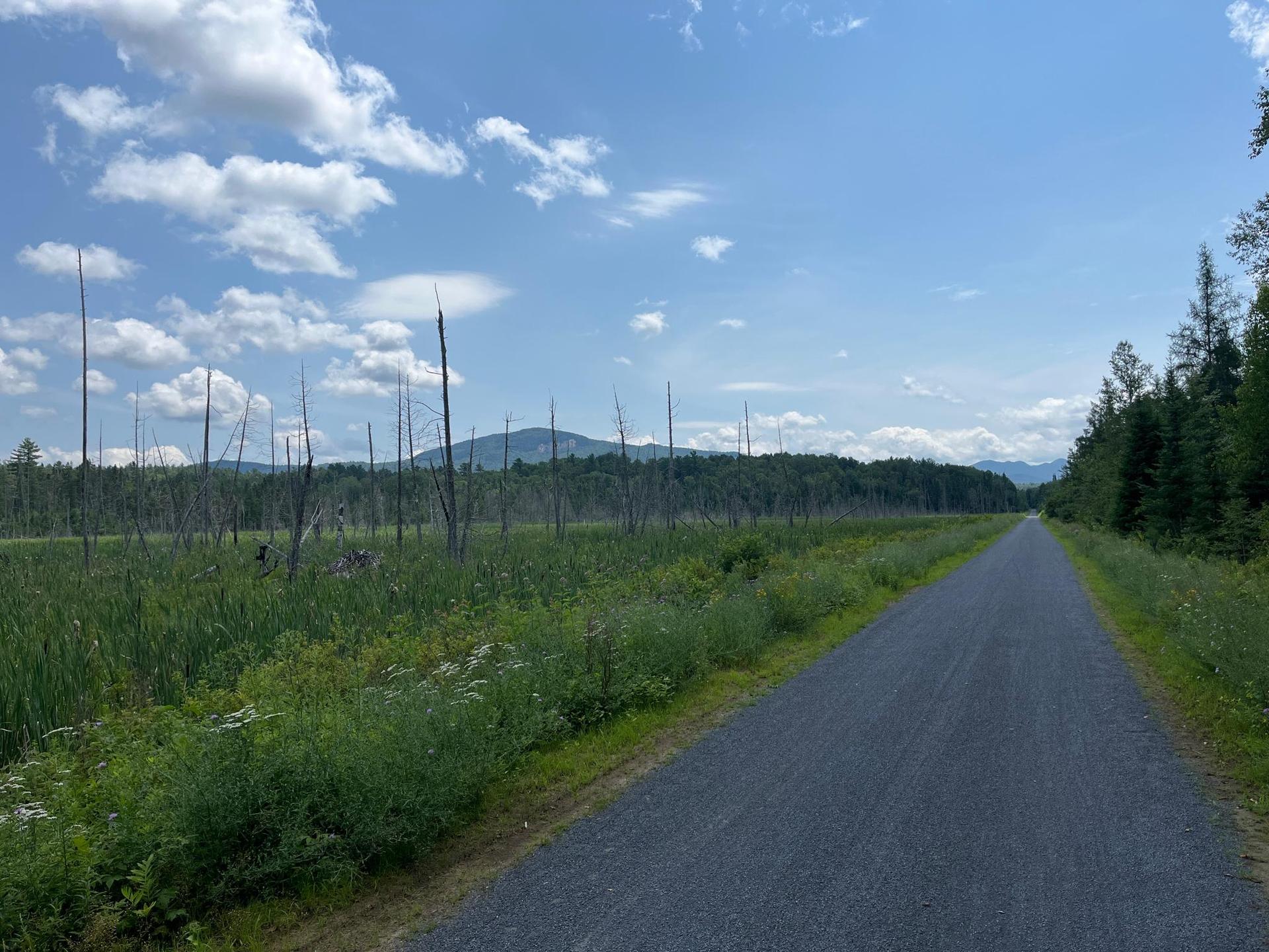 Long gravel path beside marshland and forest under a blue, cloudy sky.