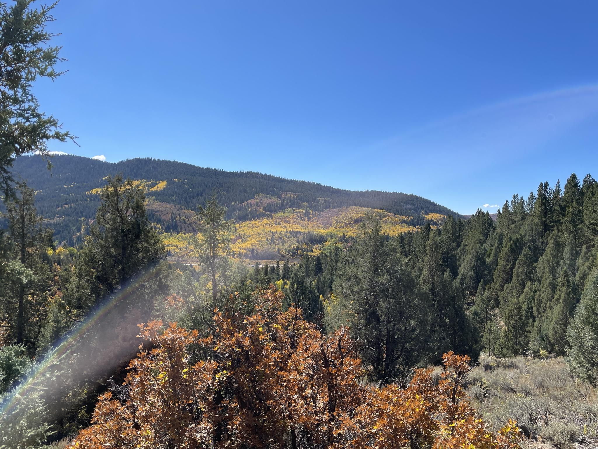 Sunny mountain landscape with green and yellow trees under a clear blue sky. - Slate Creek, Left Hand, and White Fir Loop